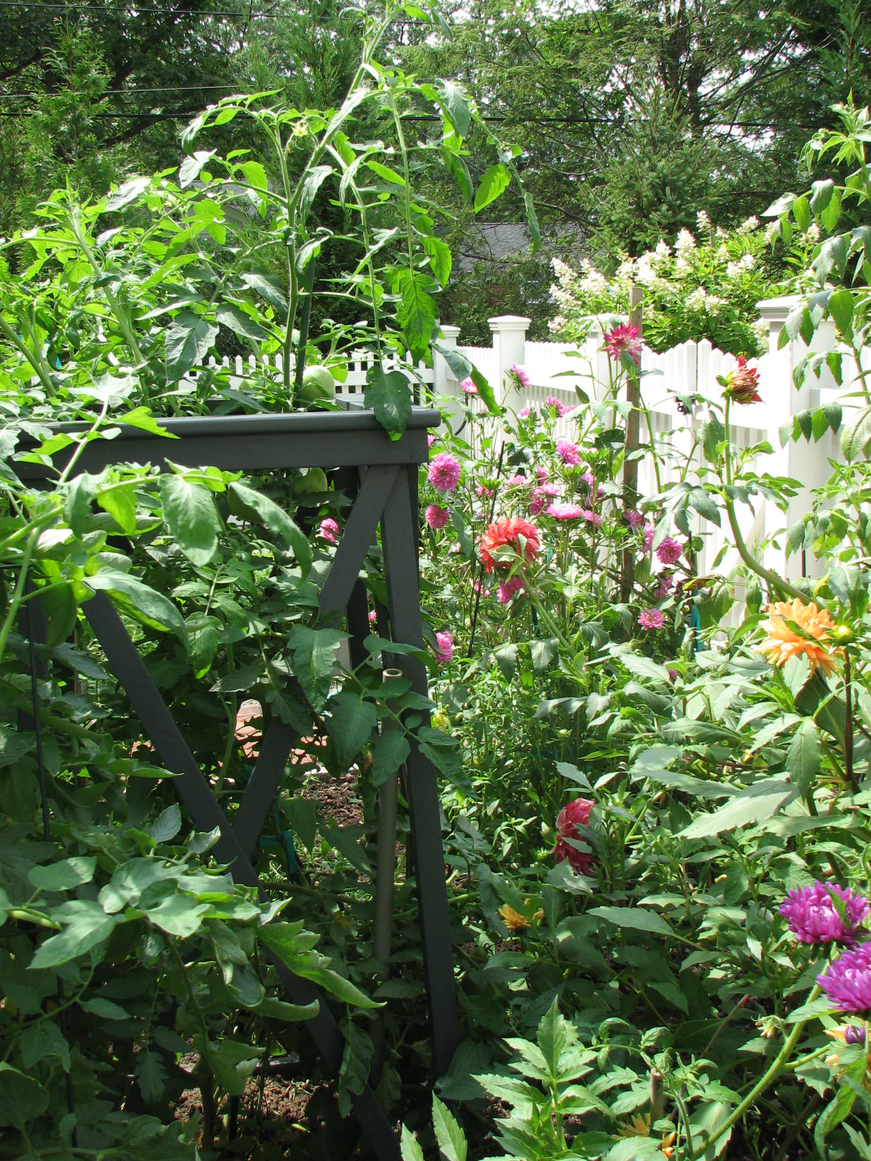 Пермакультура: Как использовать ее принципы на ваших 6 сотках