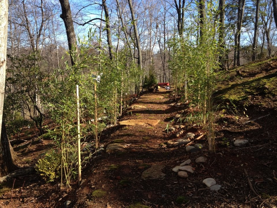 Растим арки — большие и маленькие