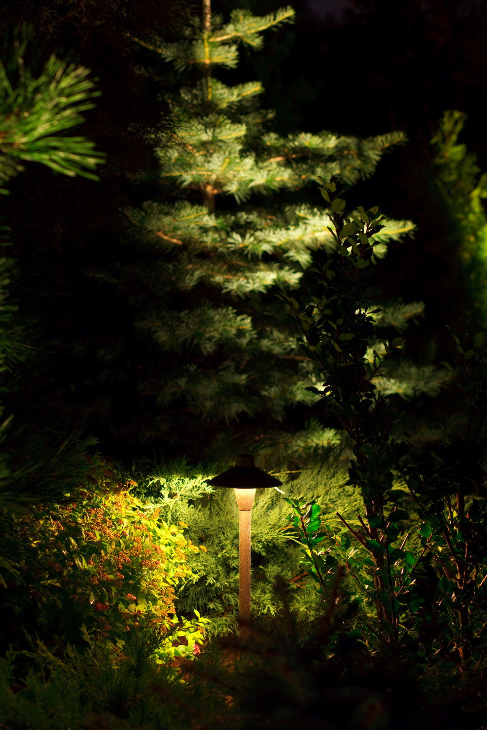 Не подглядывай: Планируем опушки на участке