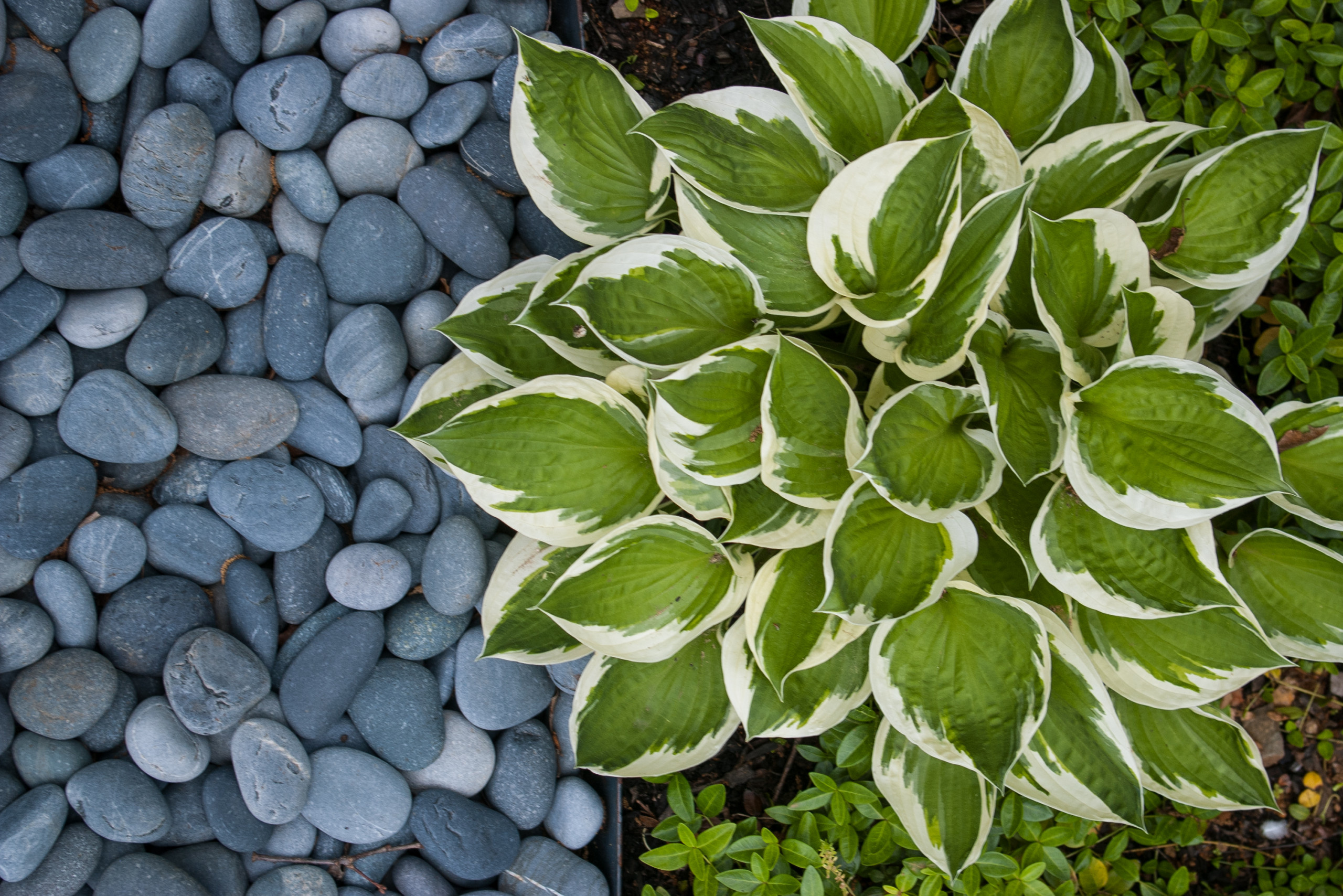 «Ленивый» календарь майских работ на участке