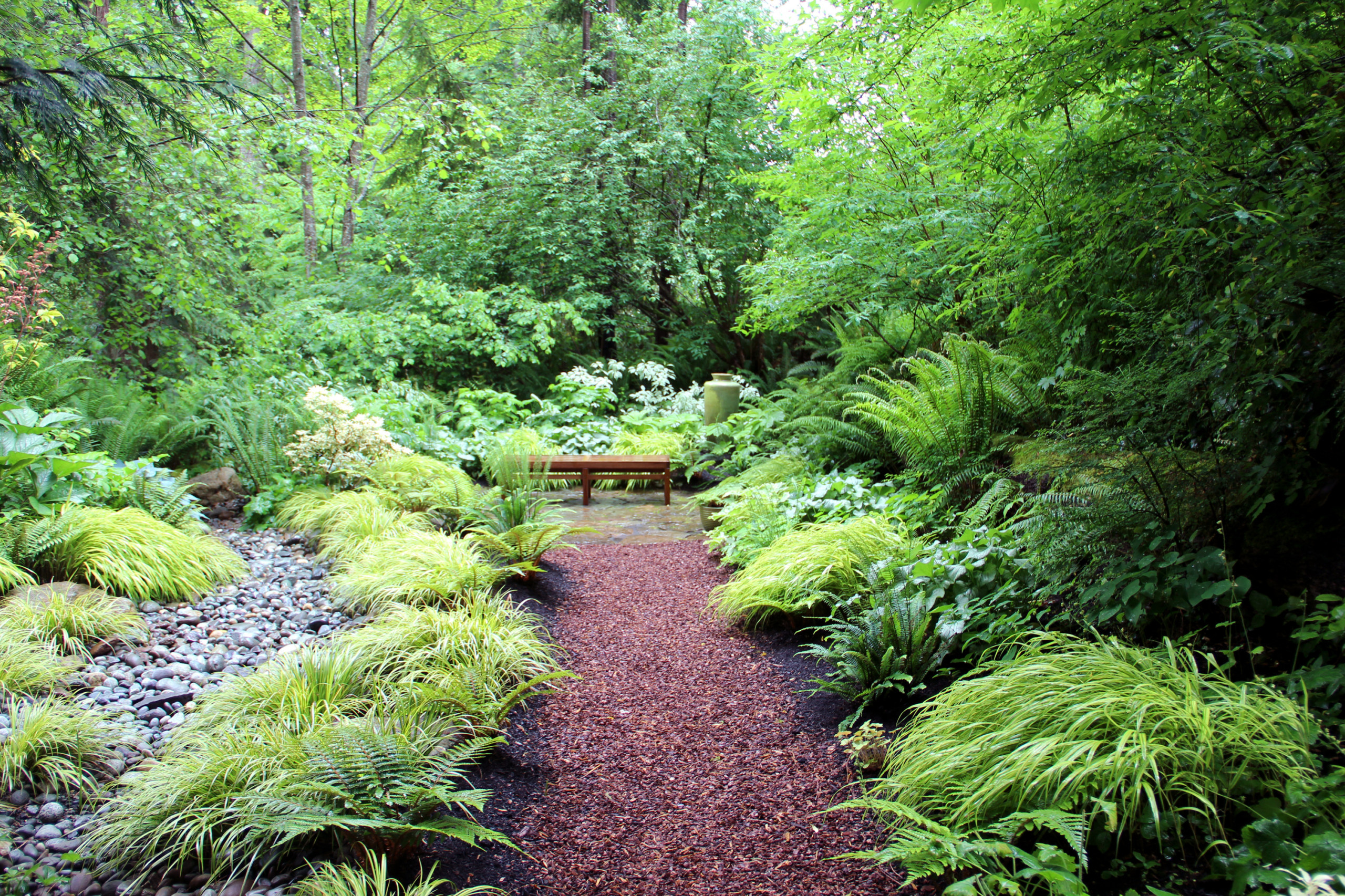 Не делайте: Газон на лесном участке