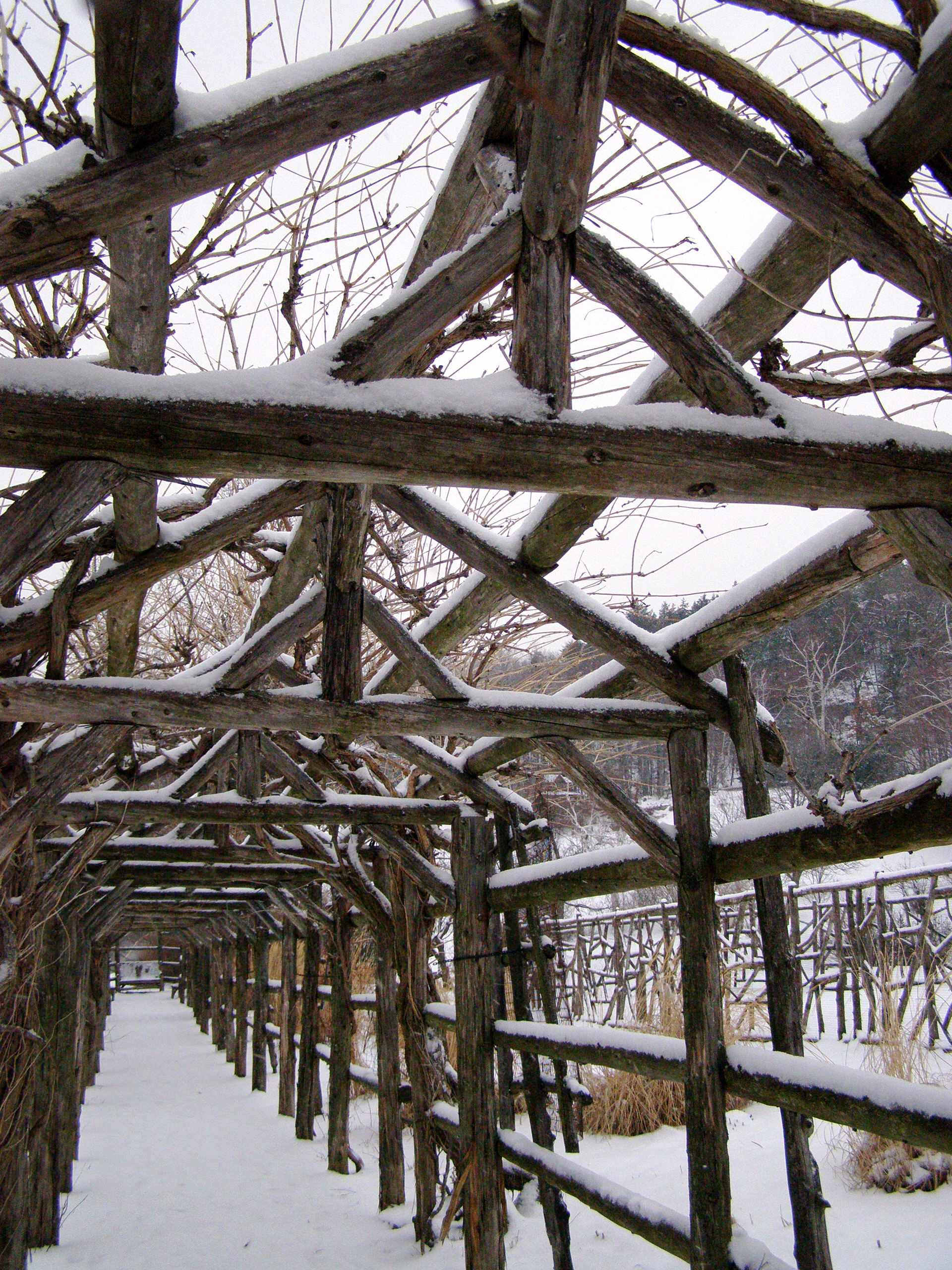 В противофазе: Чем заняться 1 января