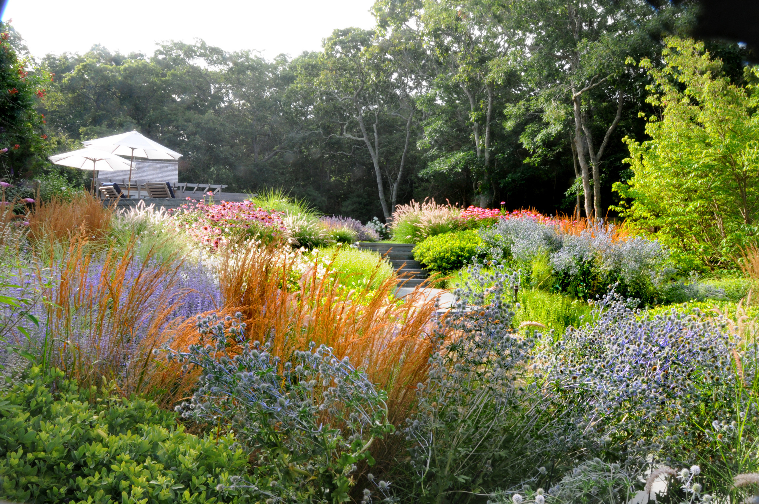 Зачем вам: Миксбордер с растениями в человеческий рост