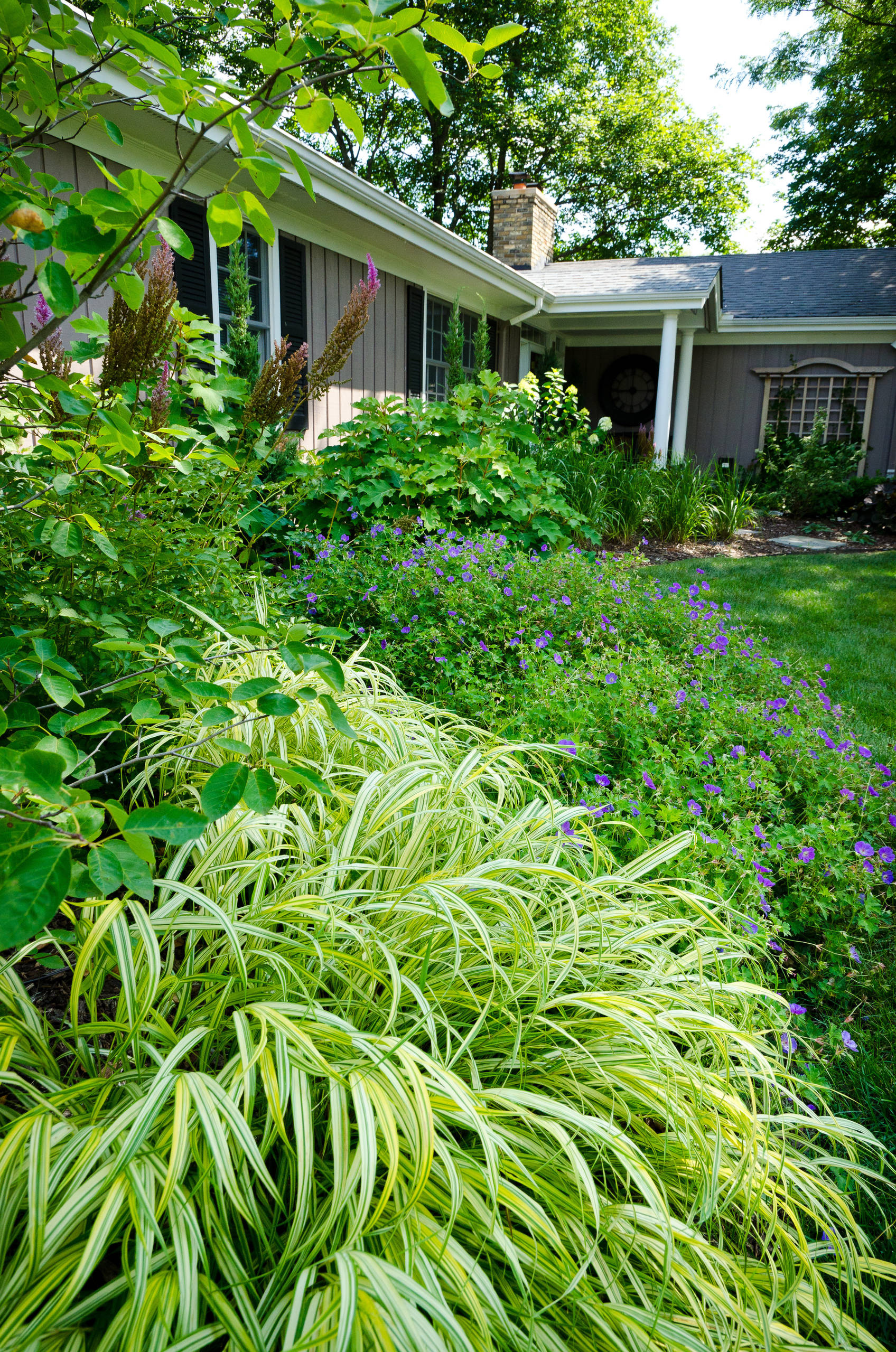В закладки: Топ-10 цветущих растений для сада в тени