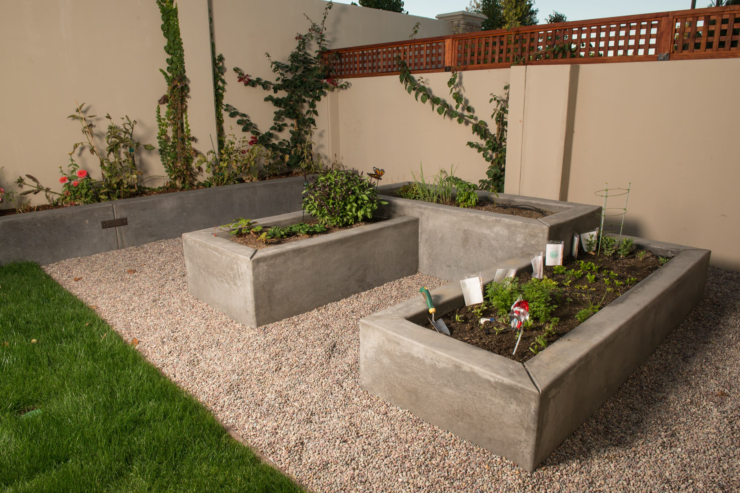 Фотоохота: 72 идеи для ограждения грядок