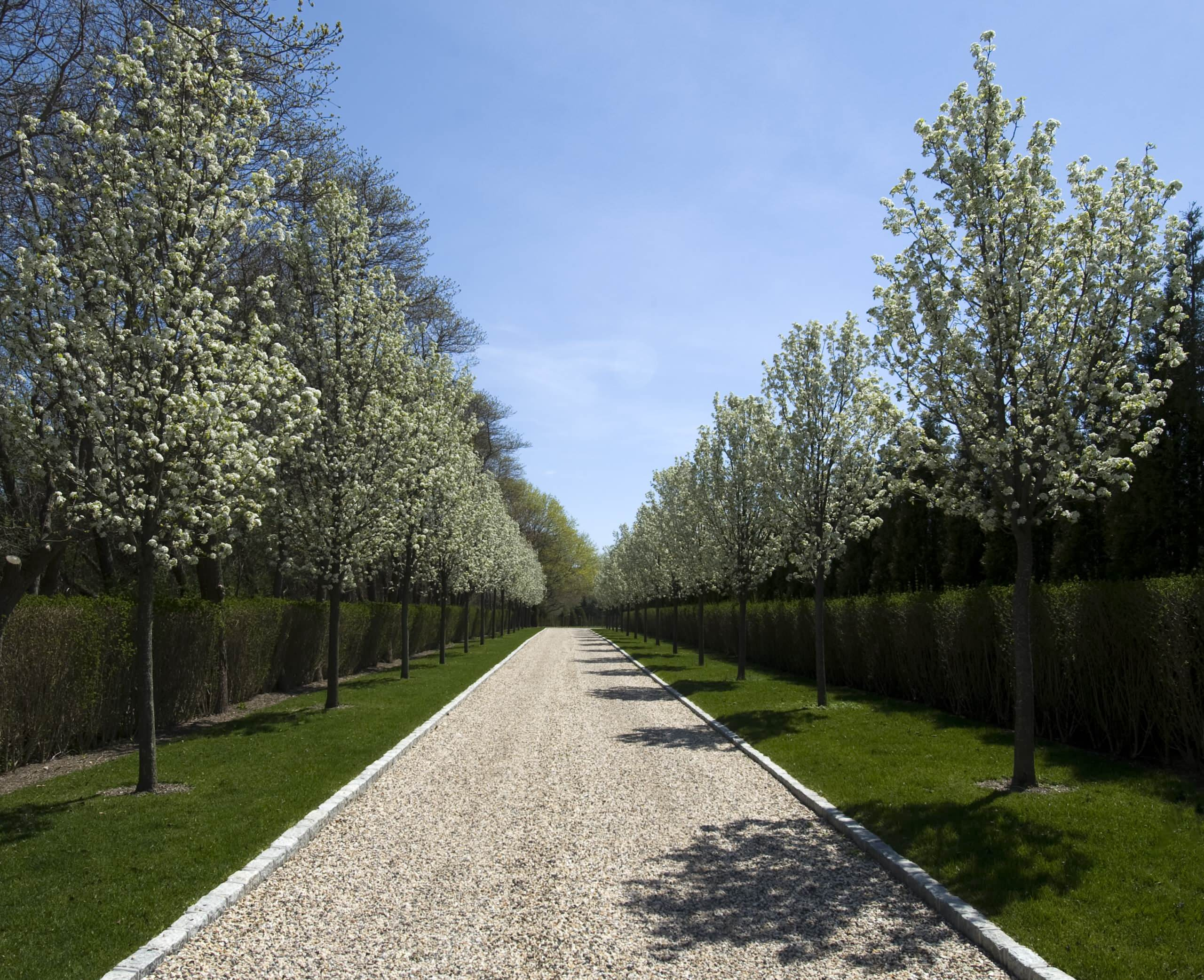 Управляй вниманием: Как показать сад во всей его красе