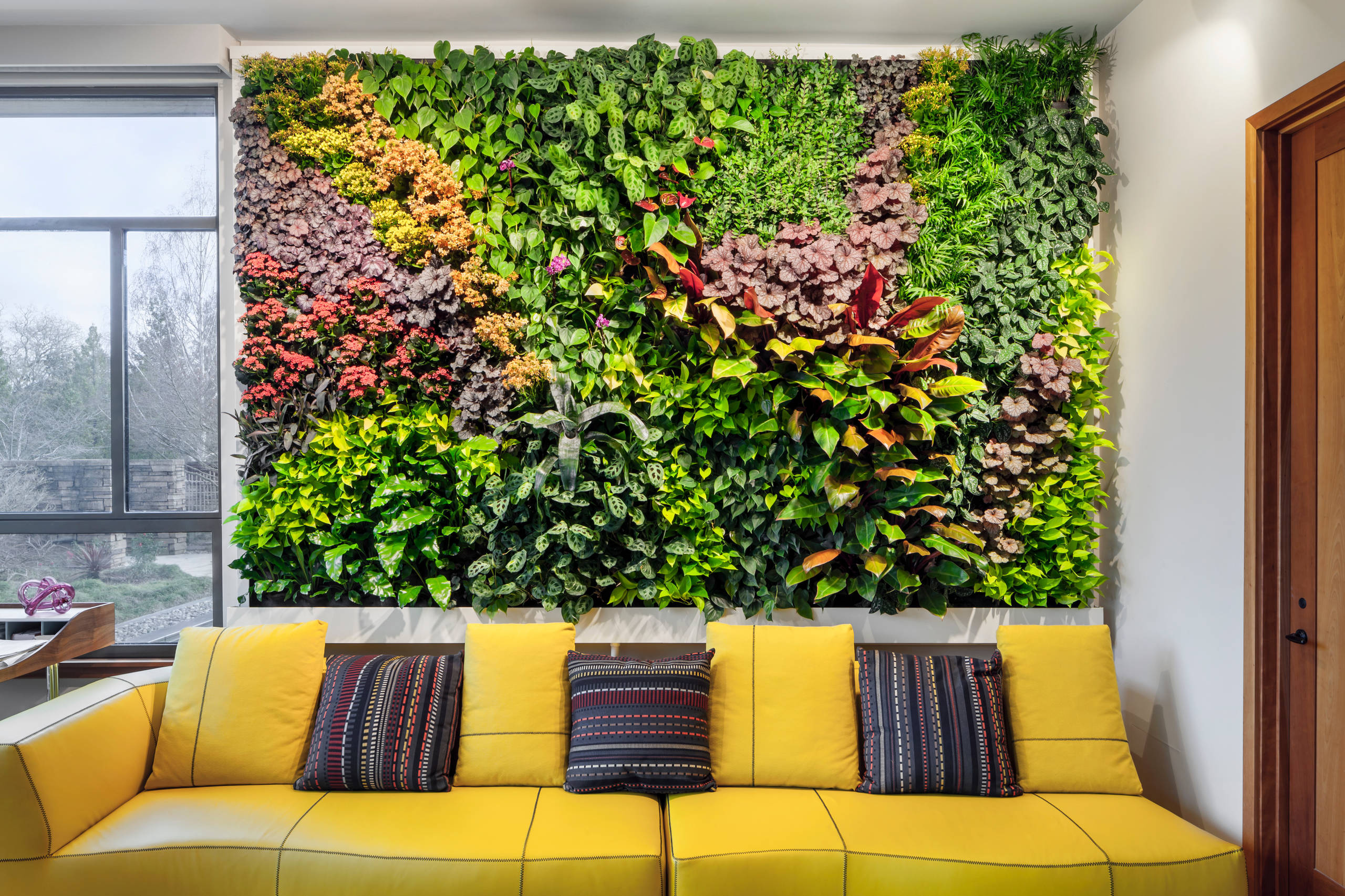 Шесть проблем, которые решает вертикальное озеленение в квартире