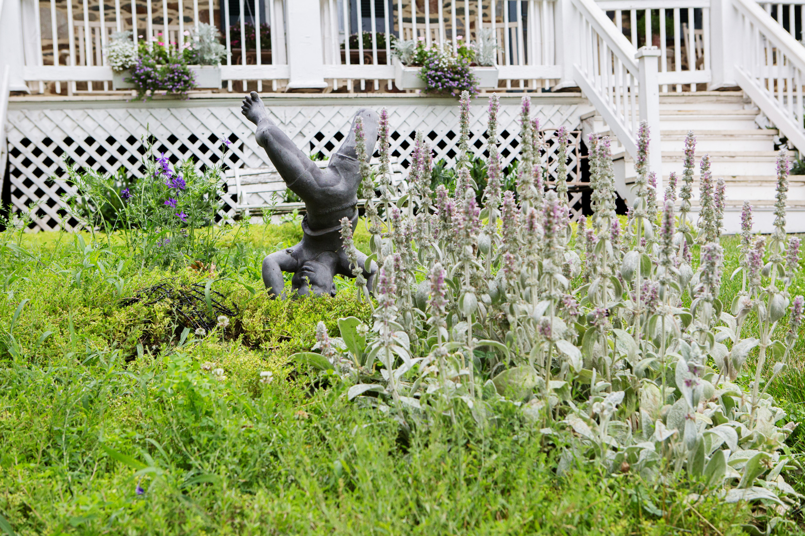 Фотоохота: 85 вдохновляющих уголков сада