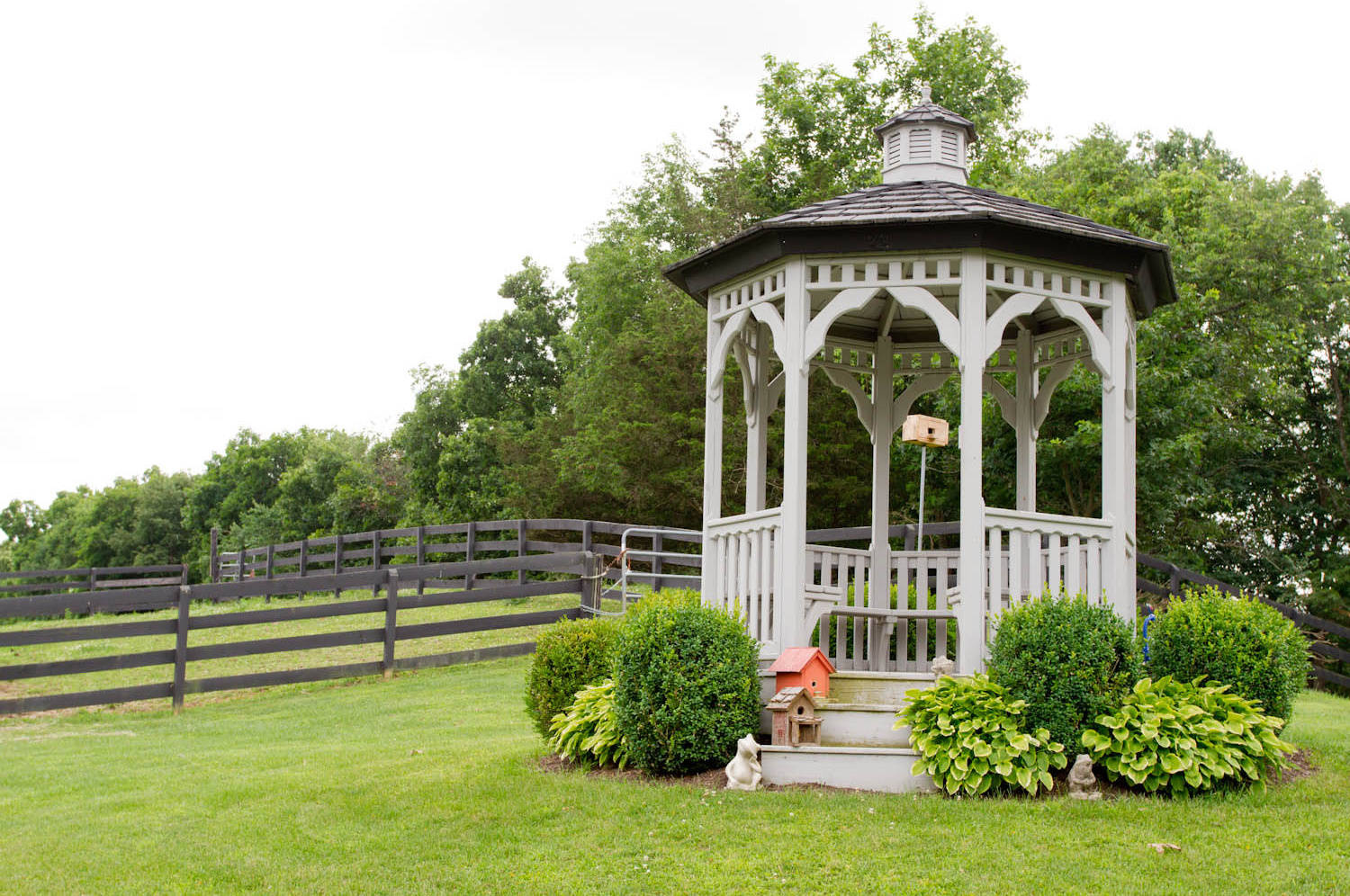 Фотоохота: 82 беседки, где хочется провести остаток лета