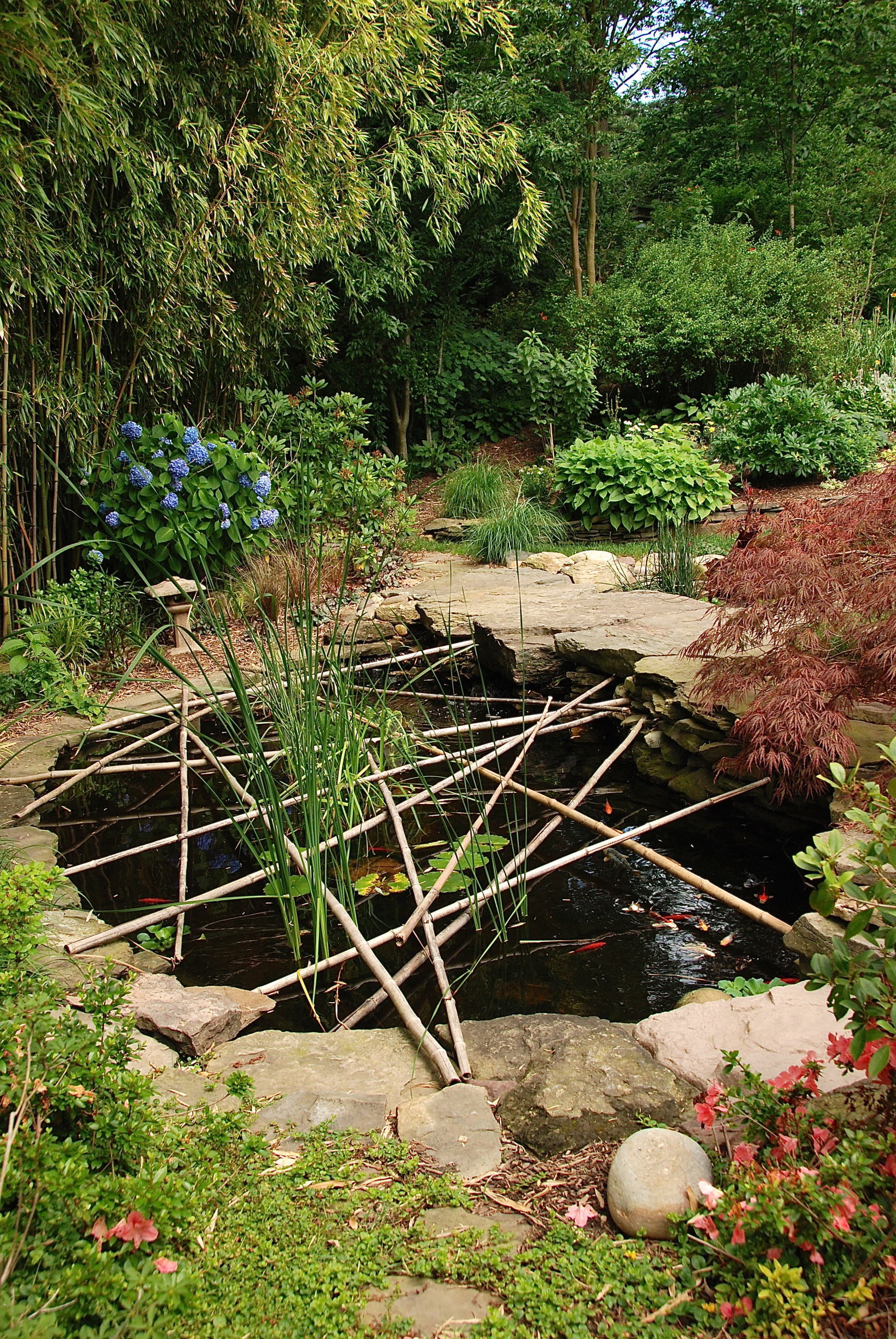 Фотоохота: 69 идей, как оформить пруд на даче