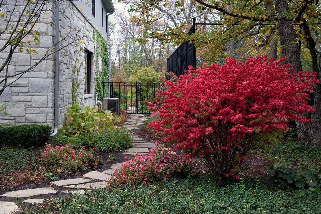 Сад для ленивых: Создание красивого сада, не требующего ухода