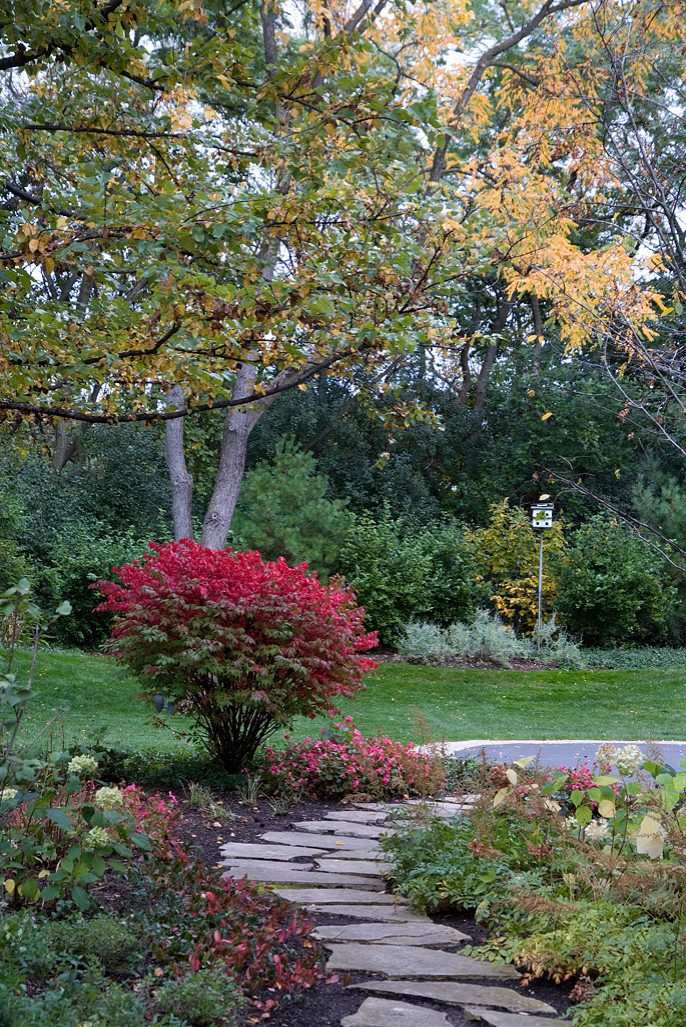 Сад для ленивых: Создание красивого сада, не требующего ухода