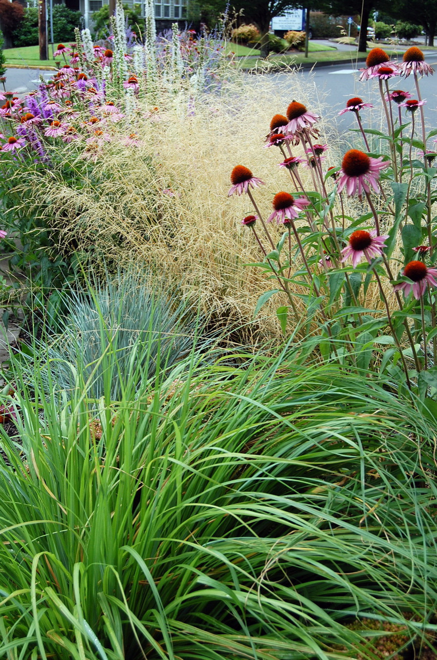 Ваш участок 10 соток? —Забудьте о саде «новой волны»