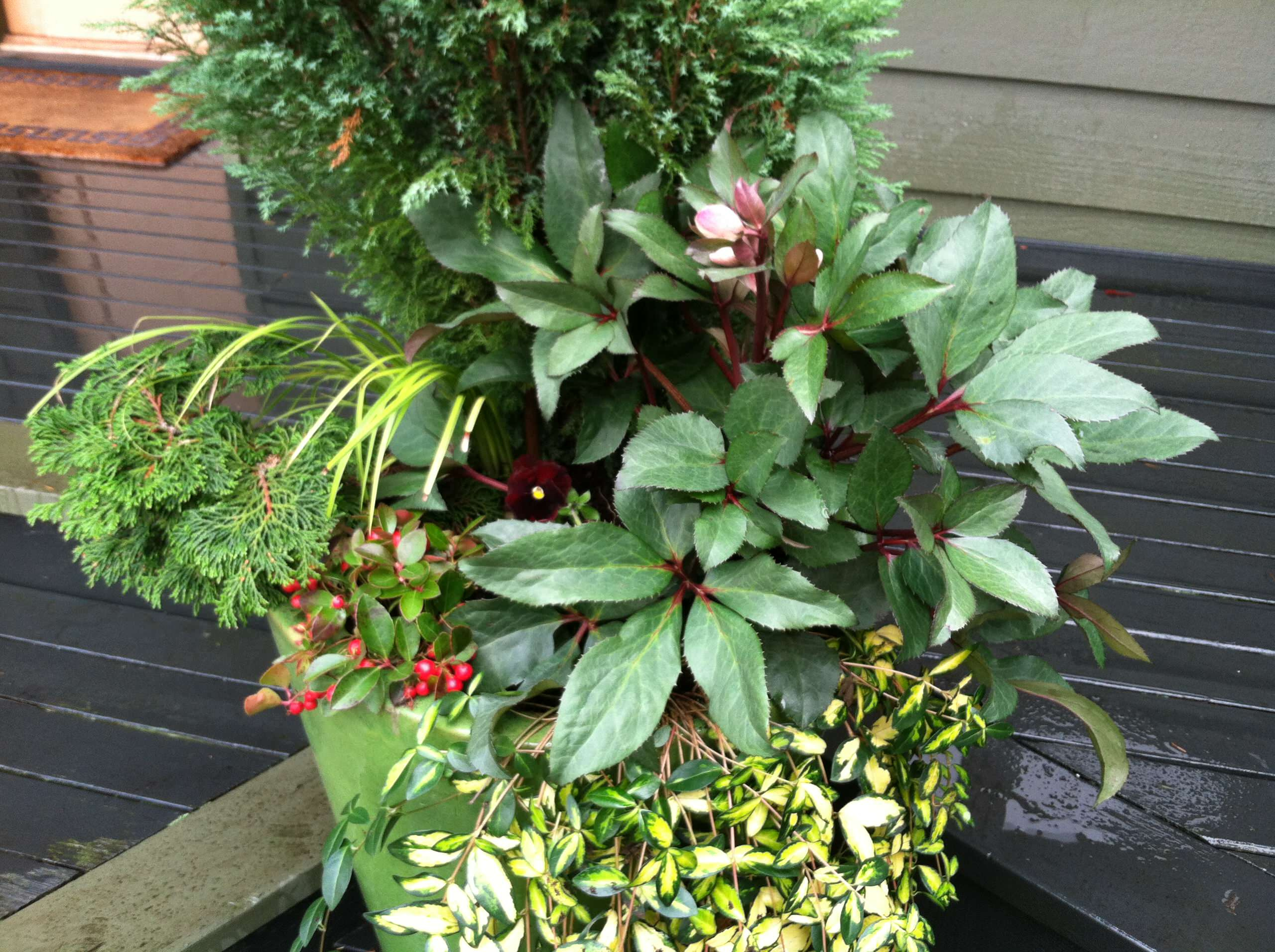 Фотоохота: 50 схем для высадки в летние кашпо