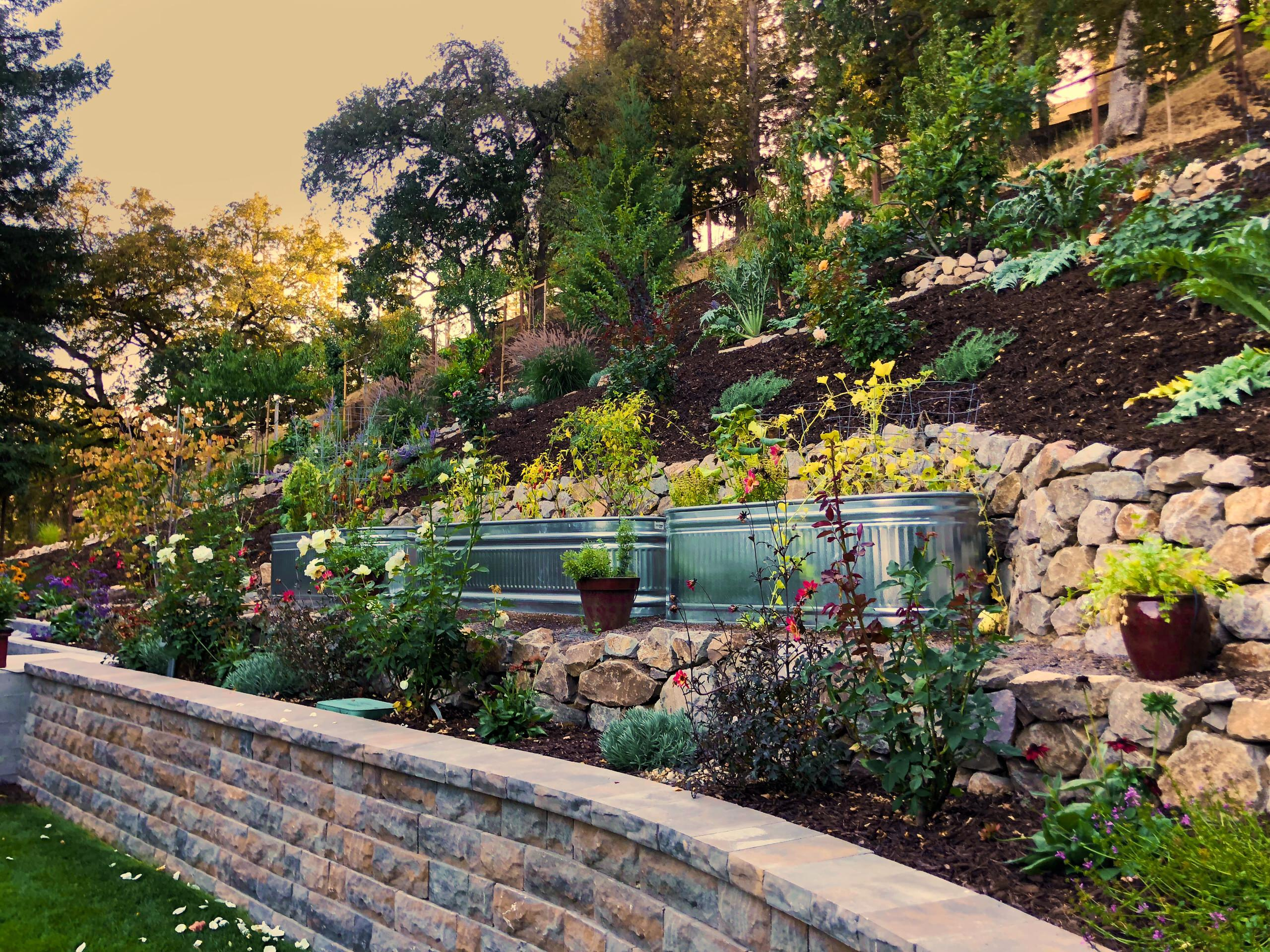 Как правильно: Создать огород в «неудобном» месте