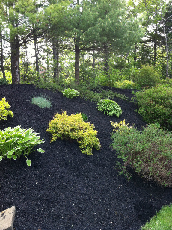 Вопрос: Как сохранить лес на собственном участке