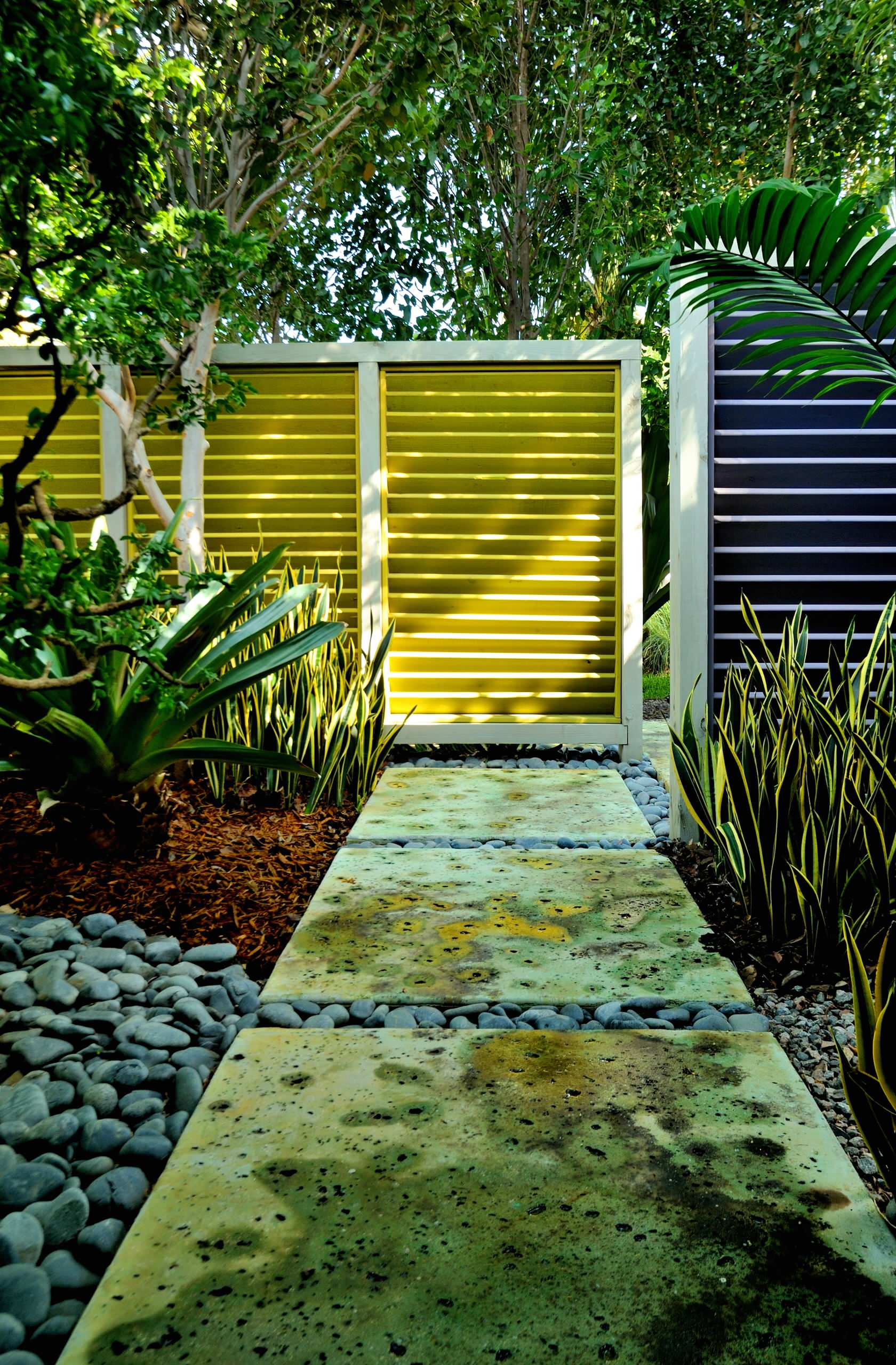 Фотоохота: 93 садовые дорожки мечты