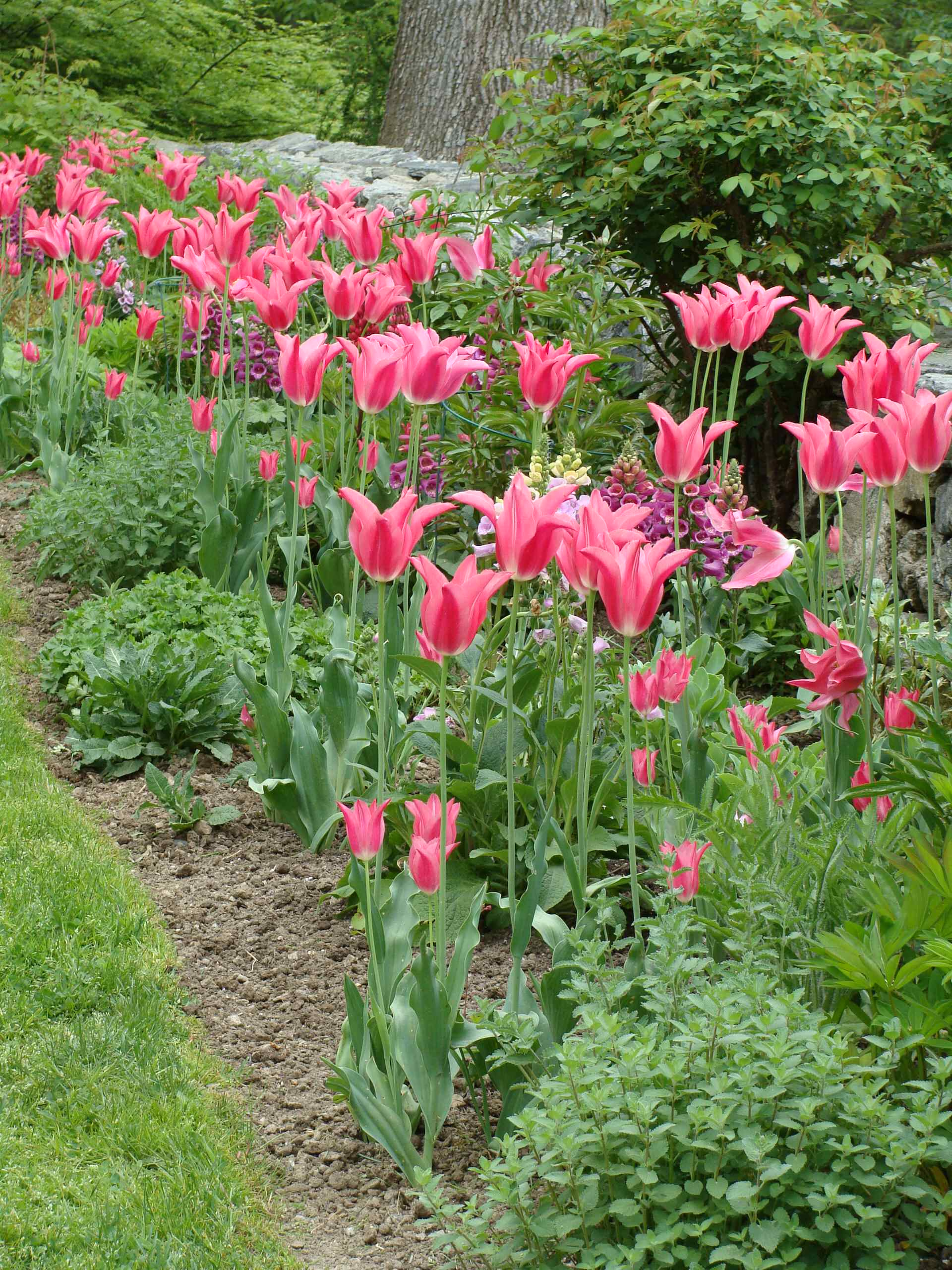 Осенний сад: Планируем цветник будущего года