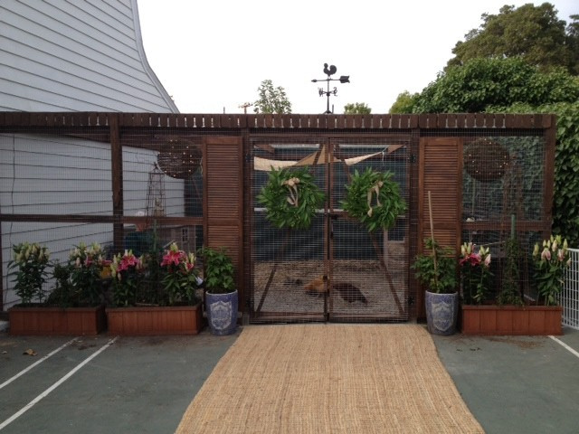 Вопрос: Как построить курятник своими руками