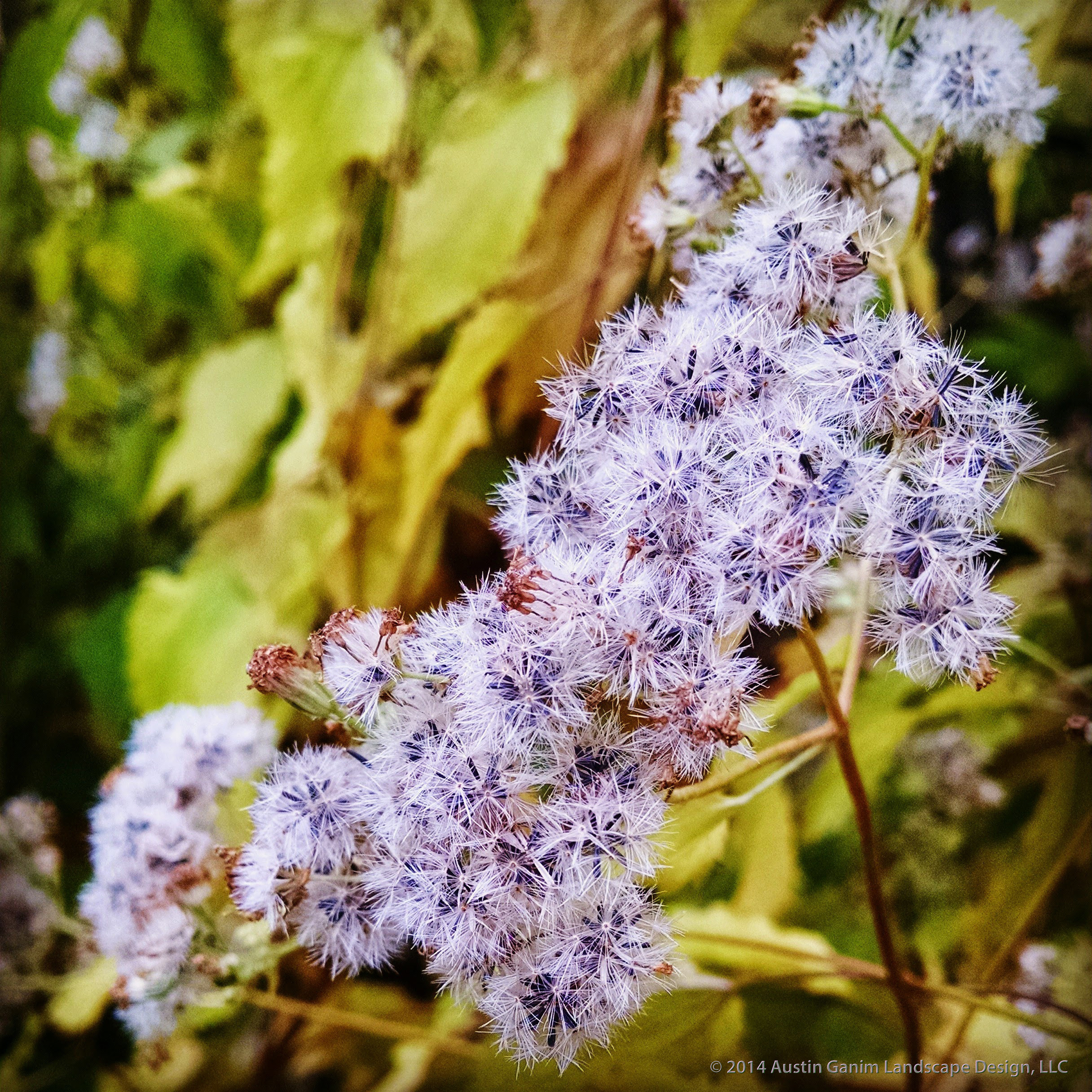 Ваш участок 10 соток? —Забудьте о саде «новой волны»