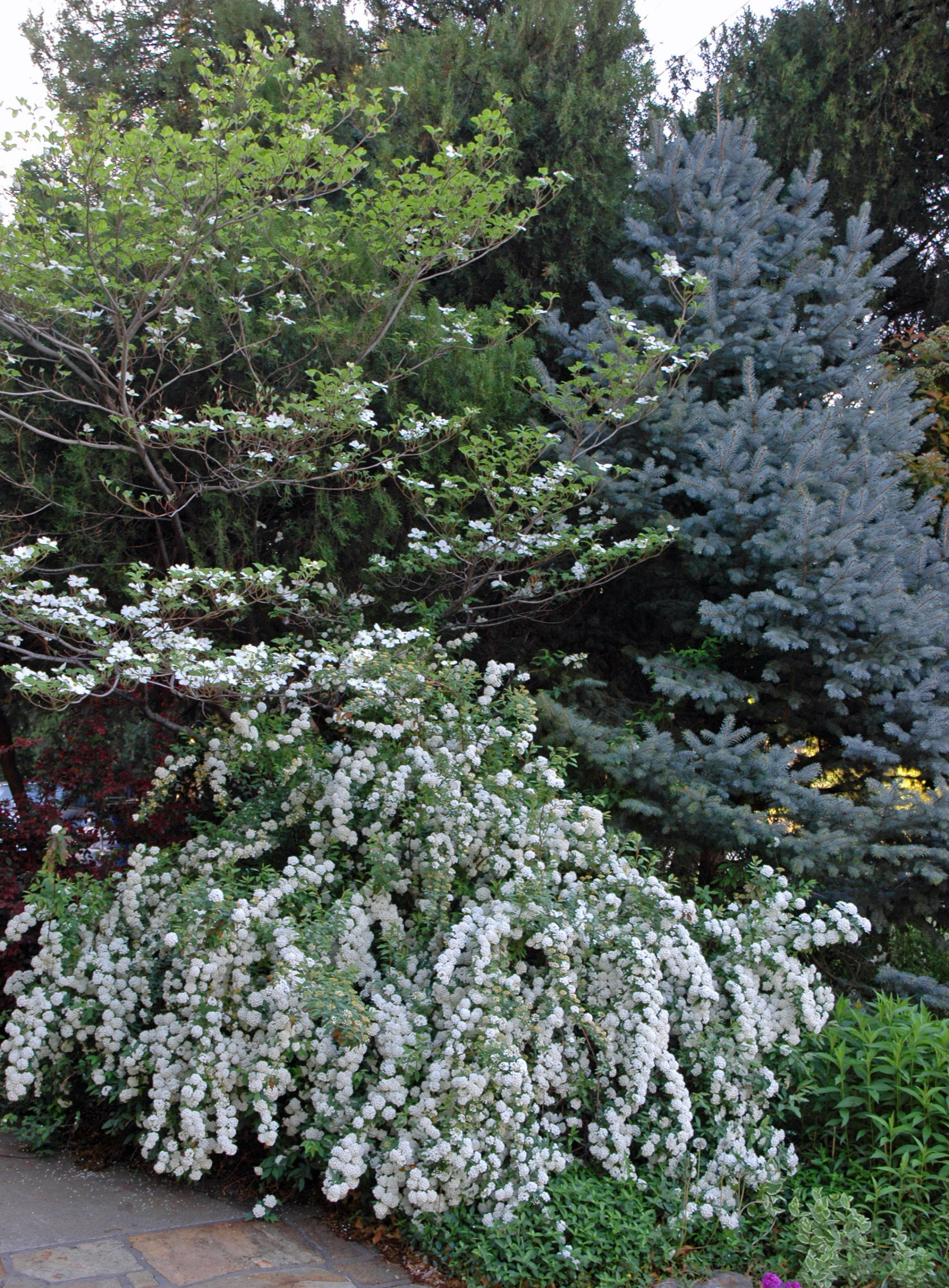 Сад для ленивых: Создание красивого сада, не требующего ухода
