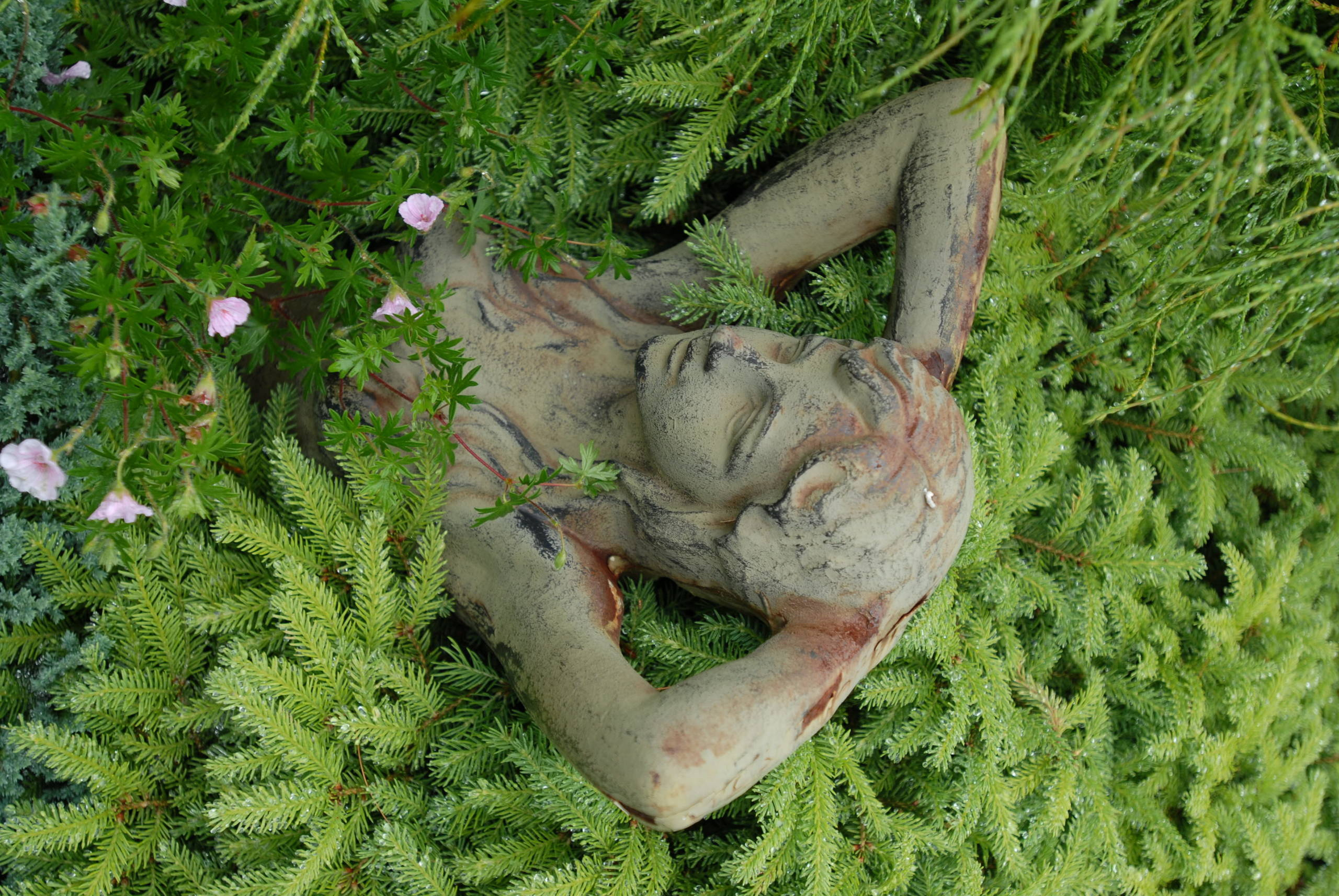 Деньги: Комплектация — за что тут платить?