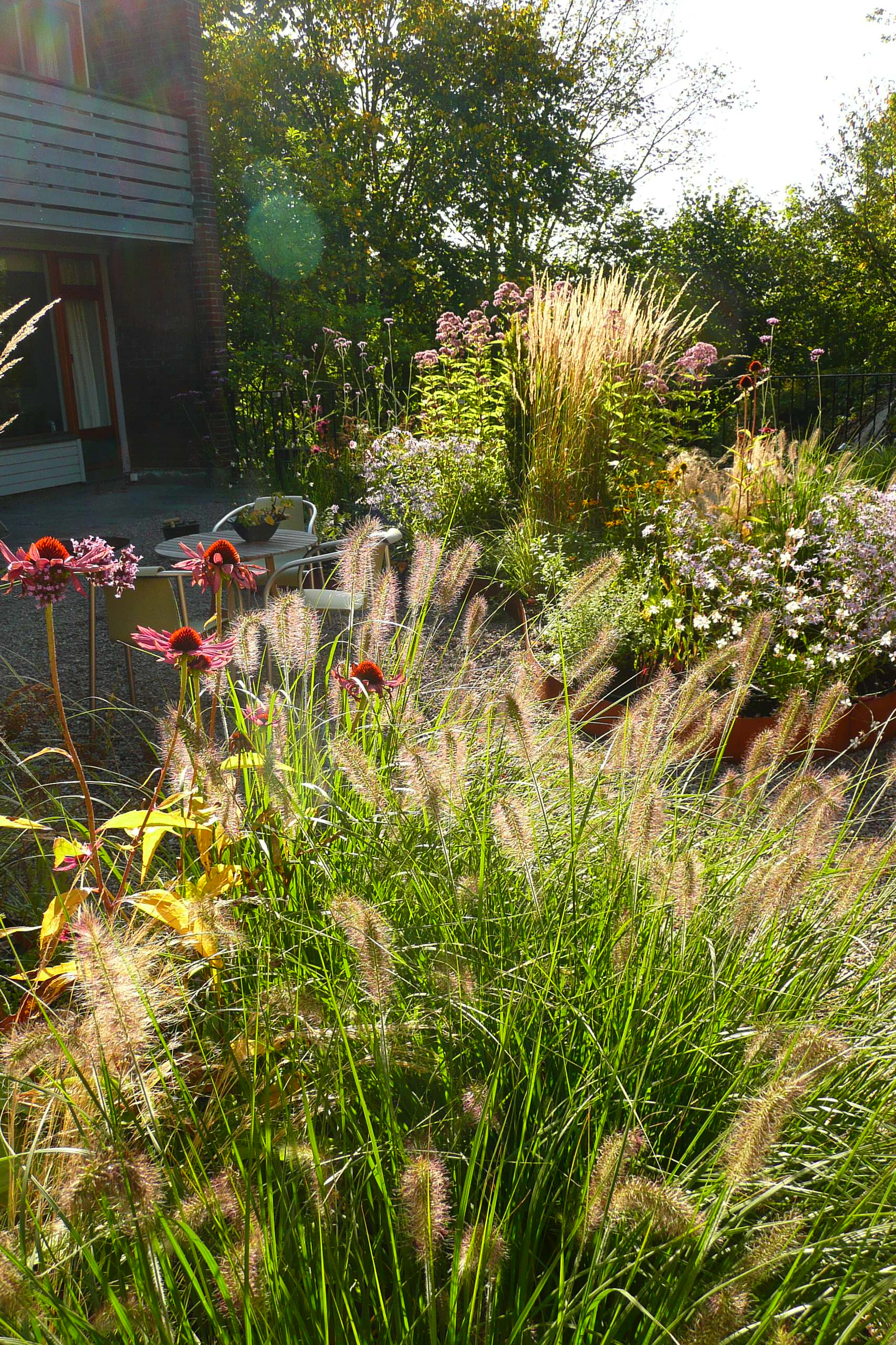 Фотоохота: Клумбы и цветники — 64 идеи для дачи