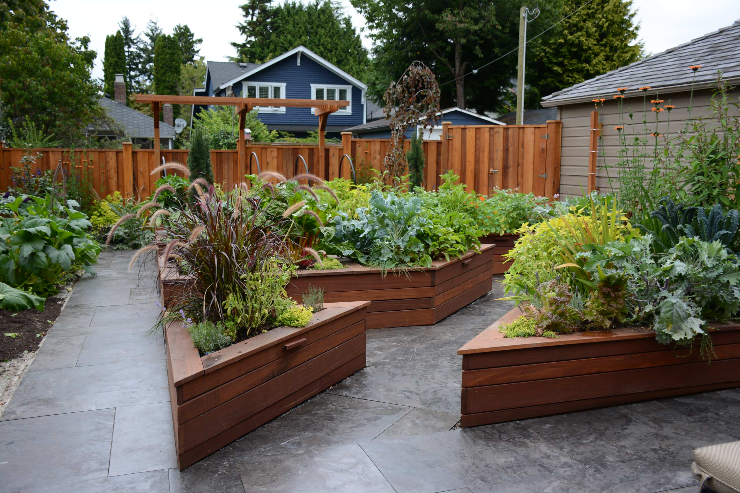 Фотоохота: Выше клумба от земли