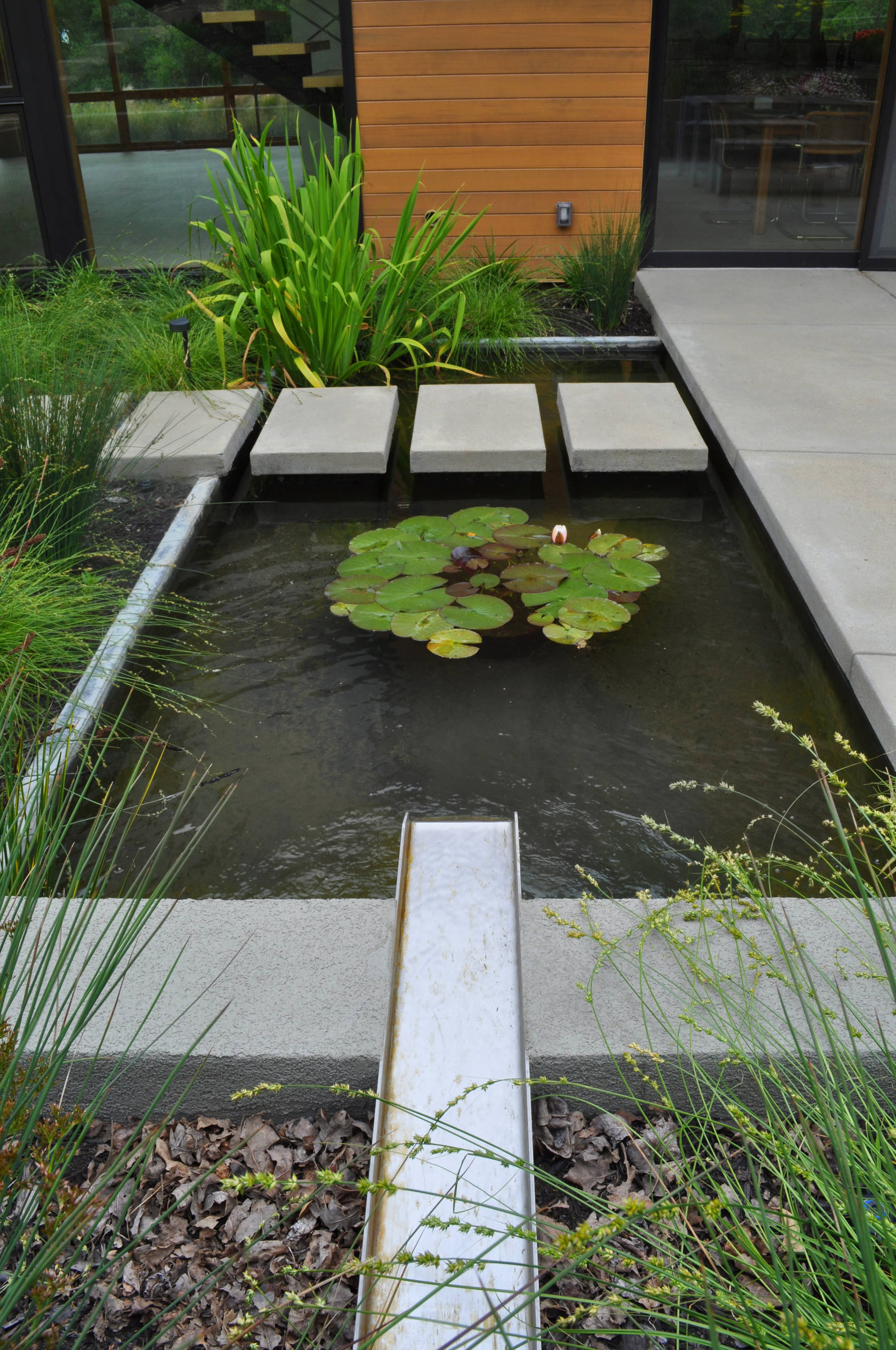 Просто фото: Дорожка по воде в саду — 27 идей