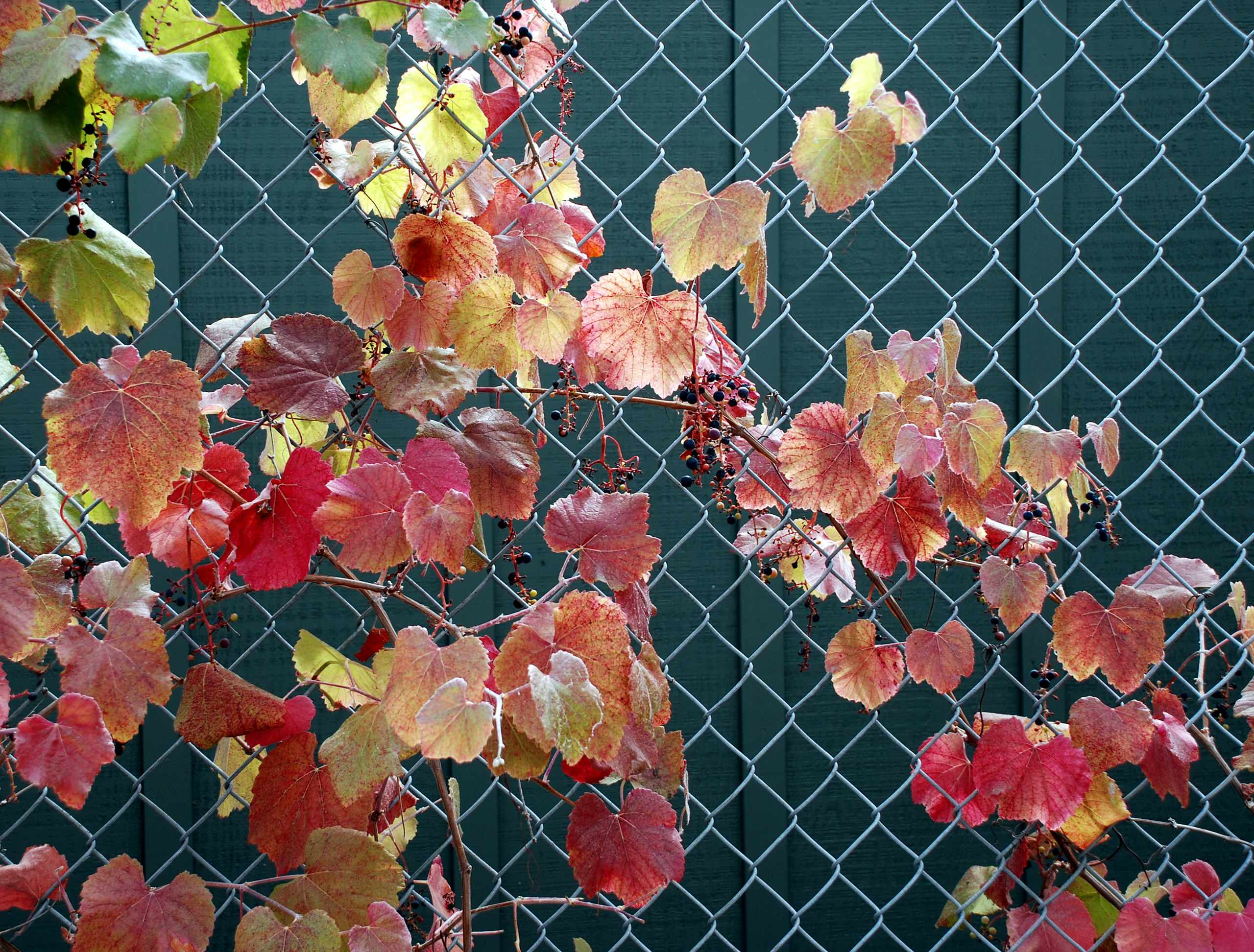 Маркетинг: Как получить выгоду от своего присутствия на Houzz