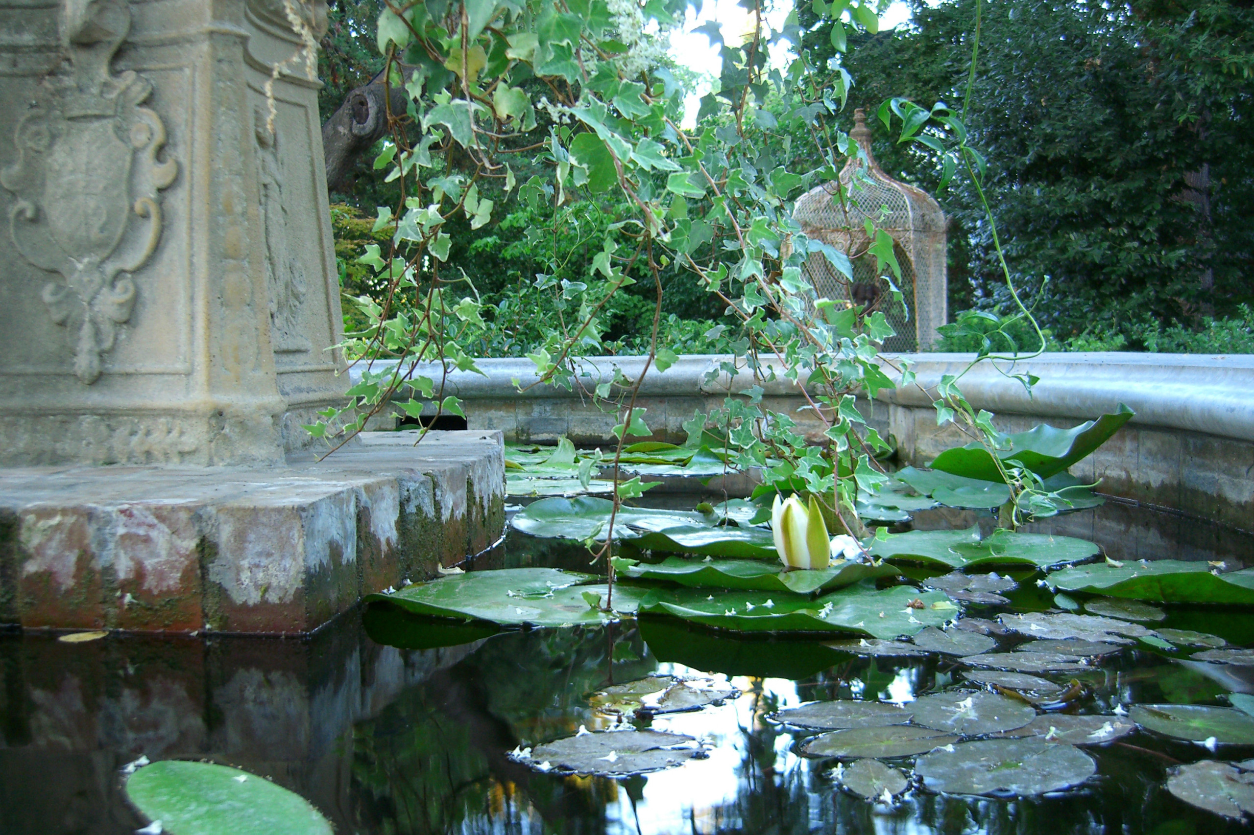 Фотоохота: 85 вдохновляющих уголков сада