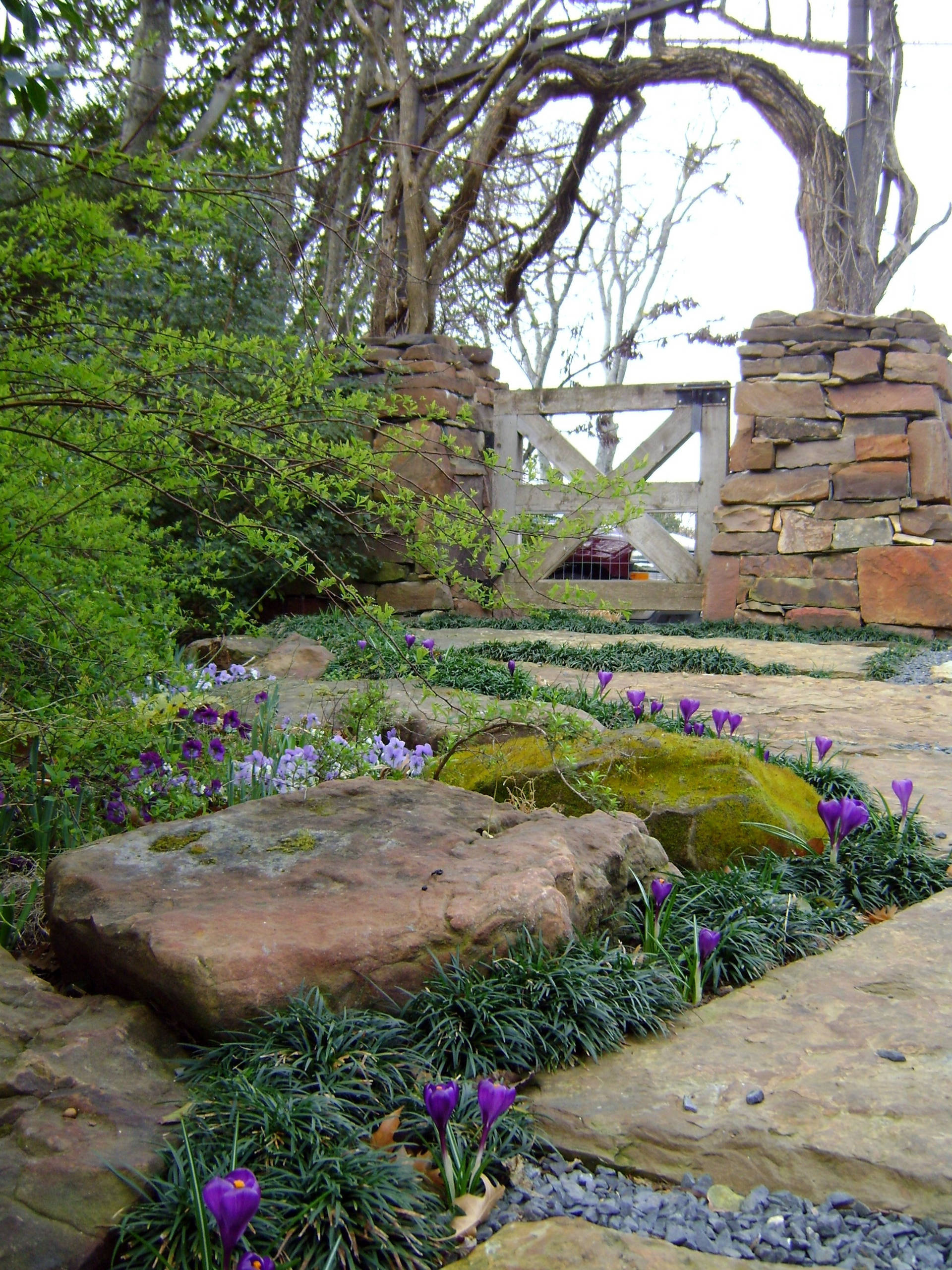 Сад для ленивых: Создание красивого сада, не требующего ухода