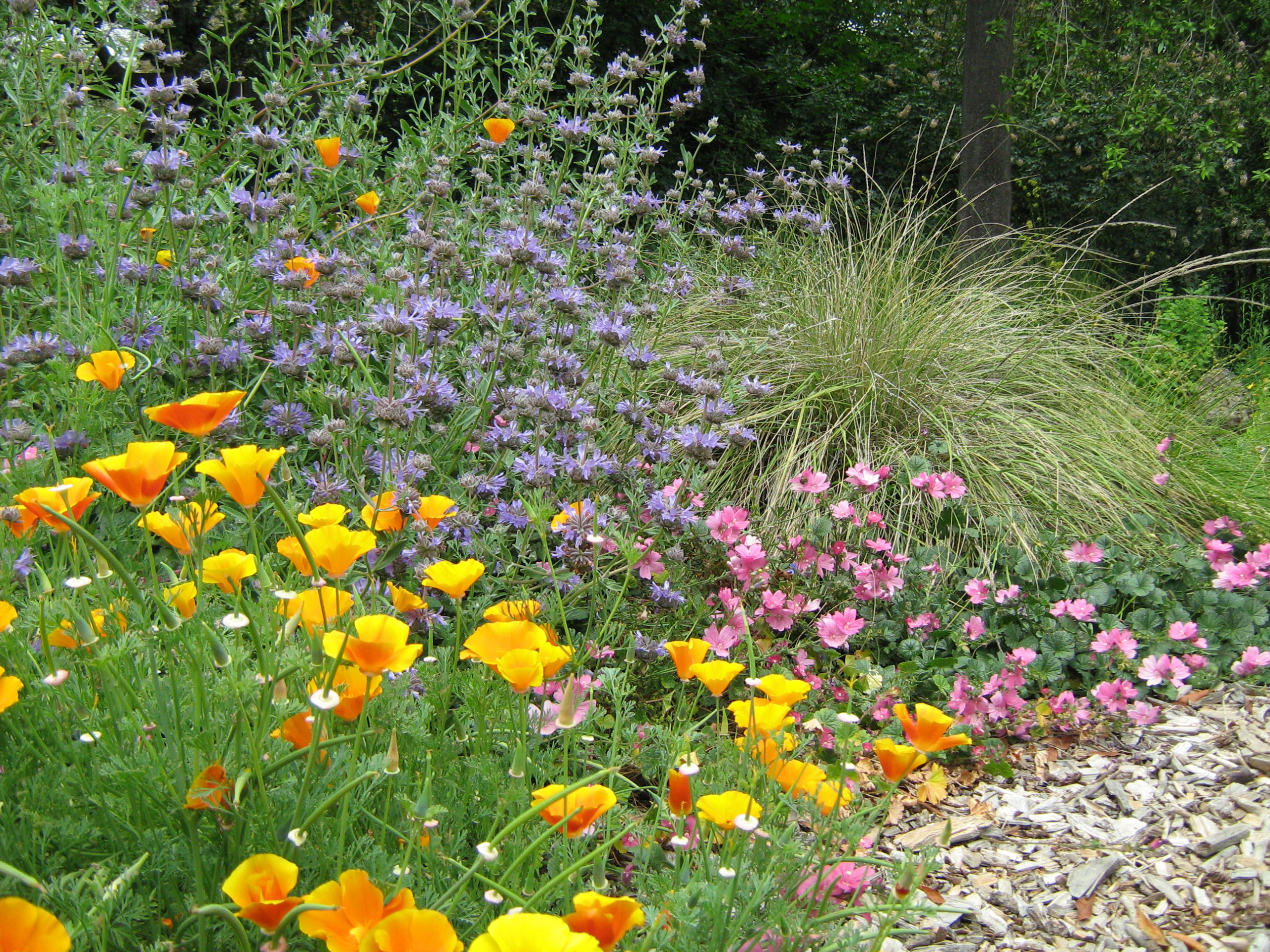 Осенний сад: Планируем цветник будущего года