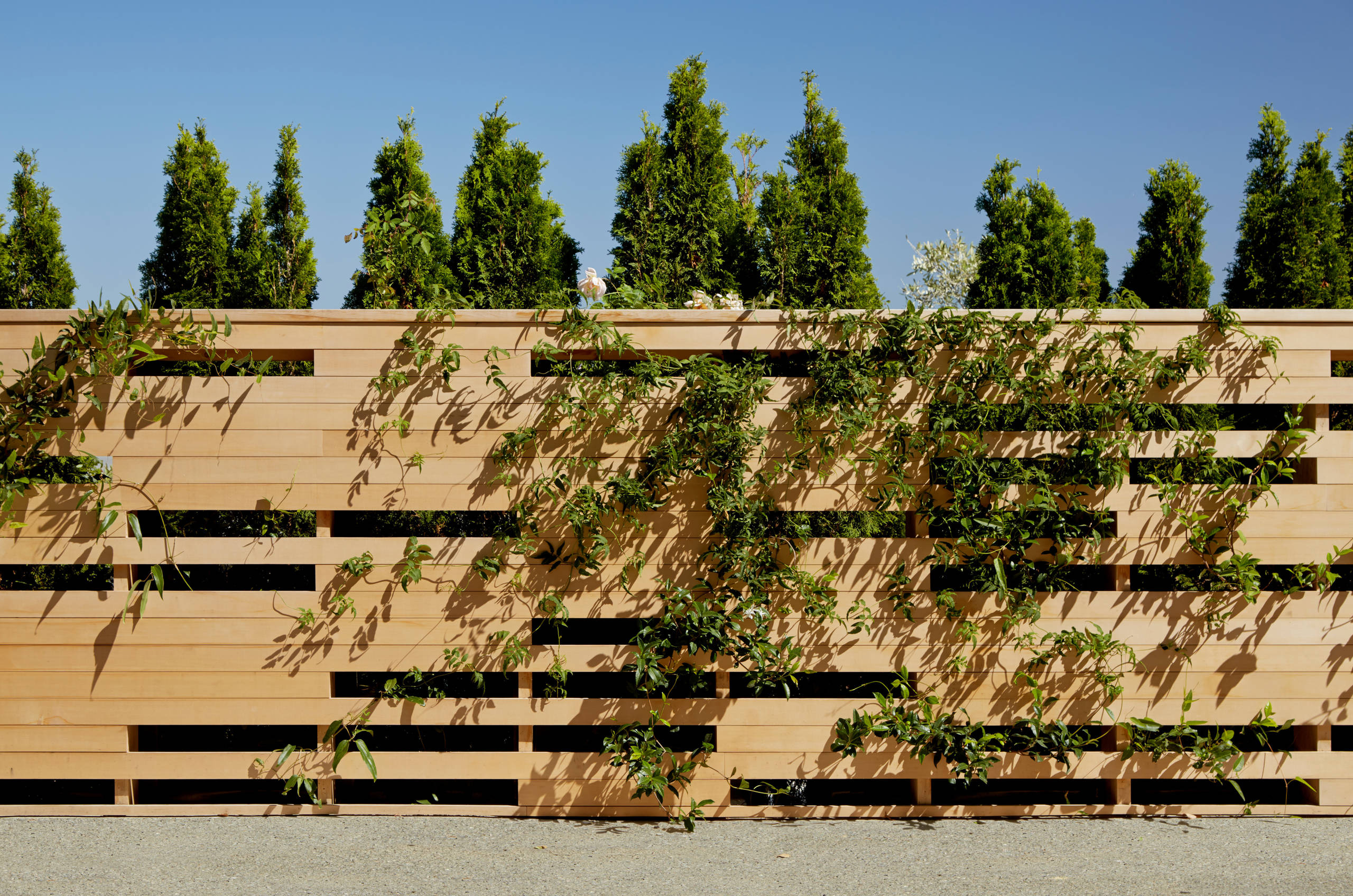 Хороший вопрос: Какие бывают заборы?