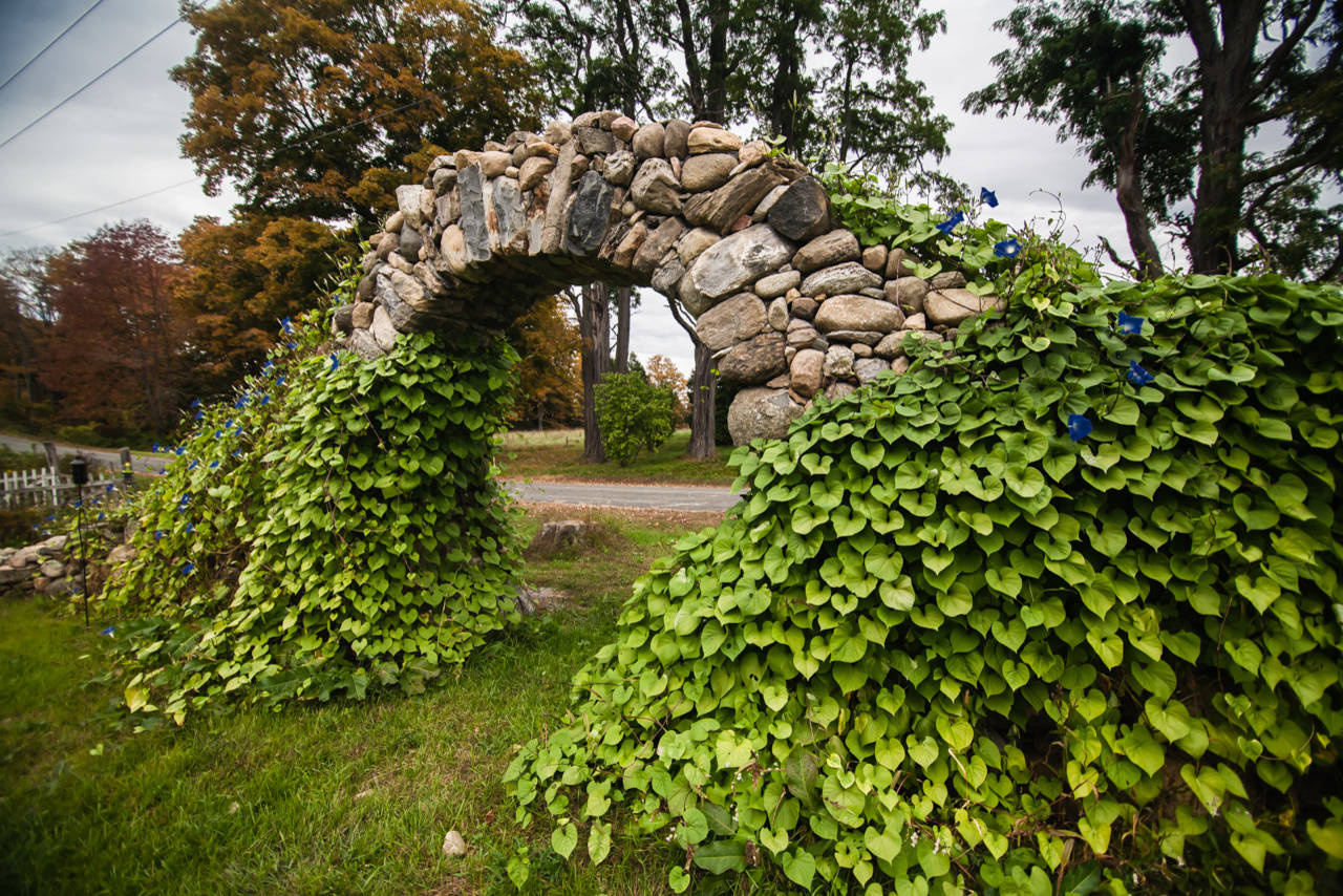 Фотоохота: 85 вдохновляющих уголков сада