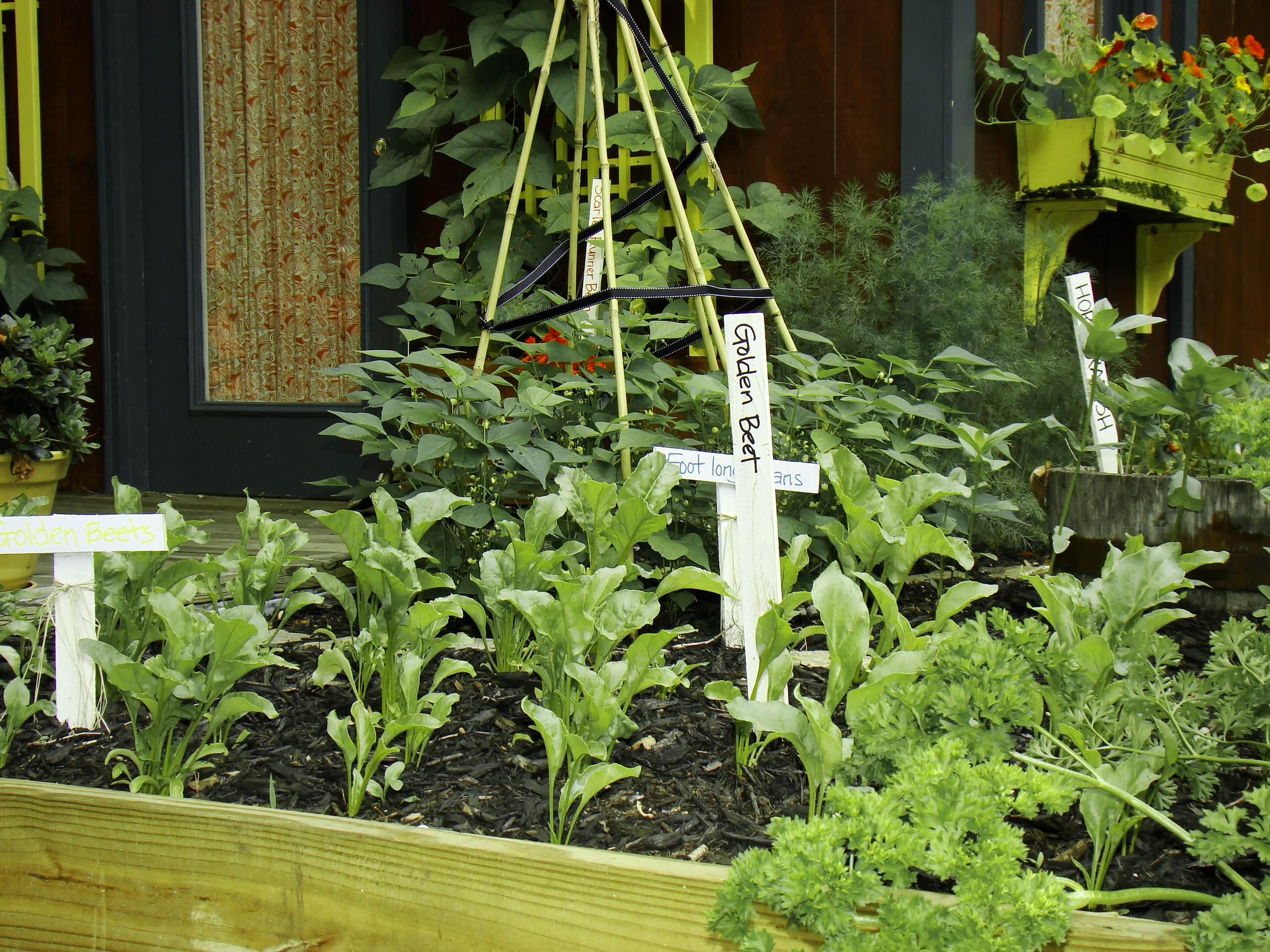 Живите и радуйтесь: Балконная жизнь осенью