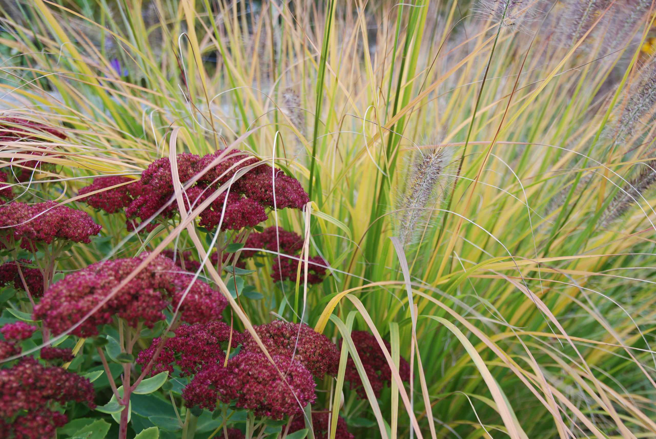 Ваш участок 10 соток? —Забудьте о саде «новой волны»