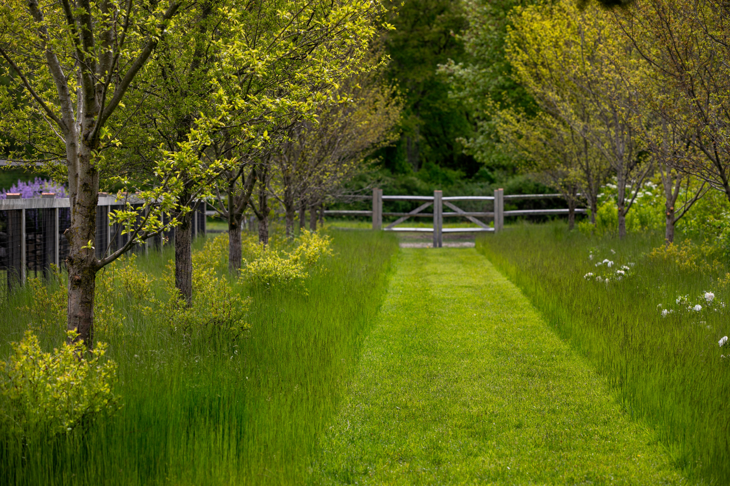 Ландшафты и сады 2021 года глазами заказчиков