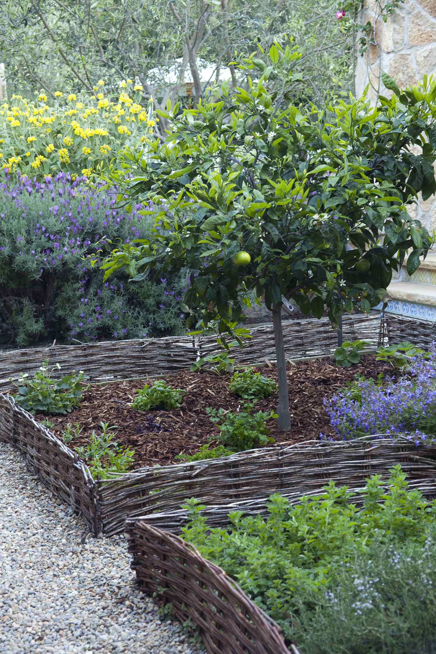 Фотоохота: 72 идеи для ограждения грядок