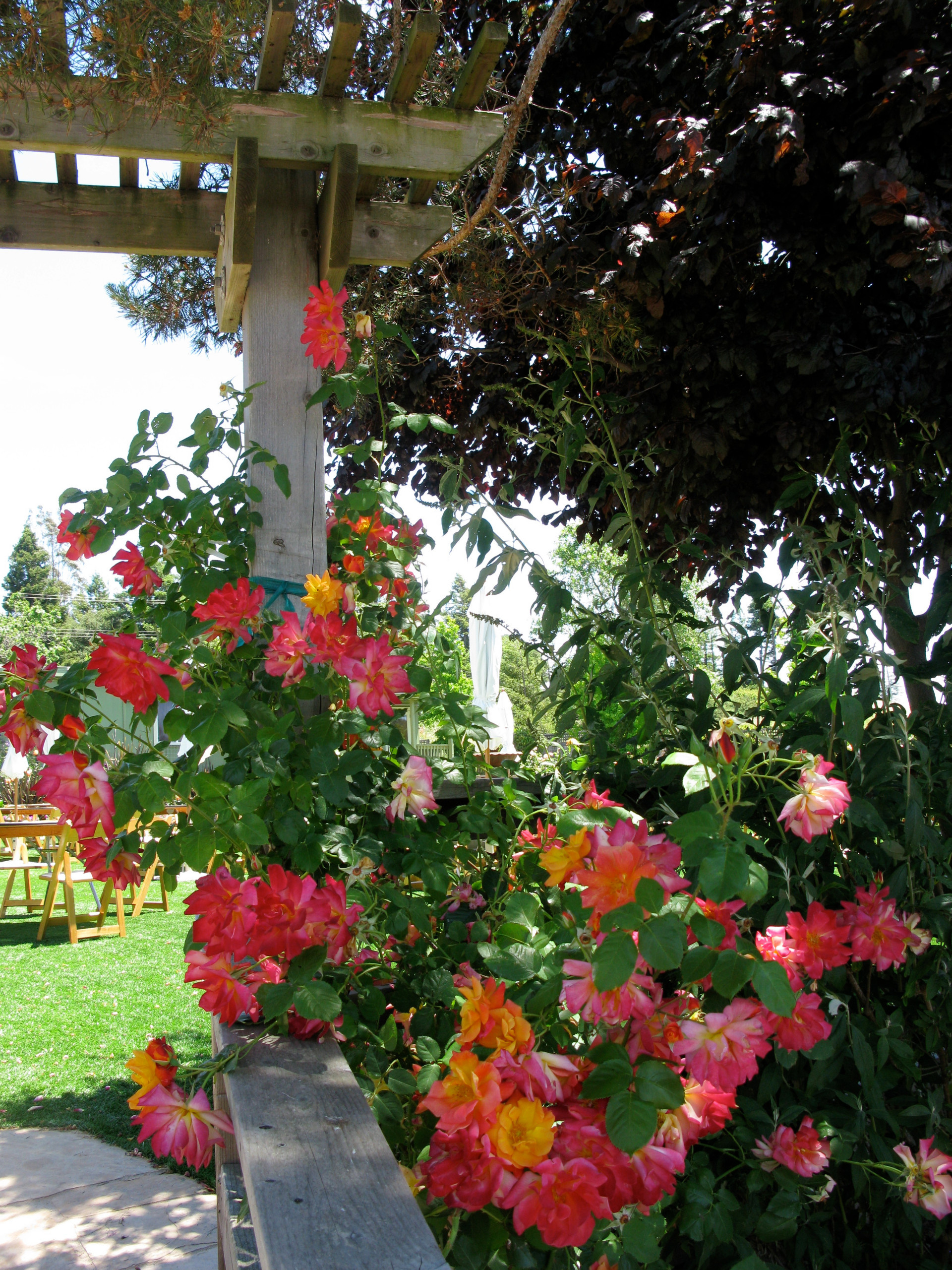 Как правильно: Провести генеральную уборку на садовом участке