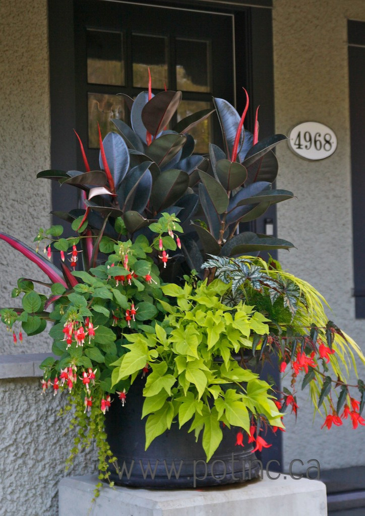 Зимний сад: Как понять, какой тип подходит именно вам