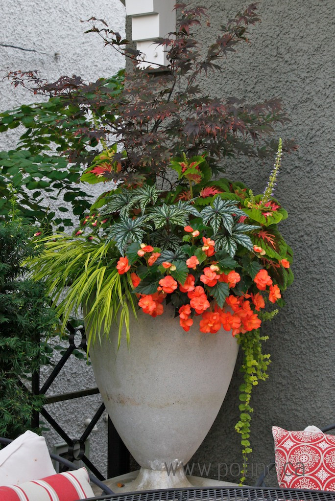 Вопрос: Сад, интерьер и зимний сад — как их связать воедино