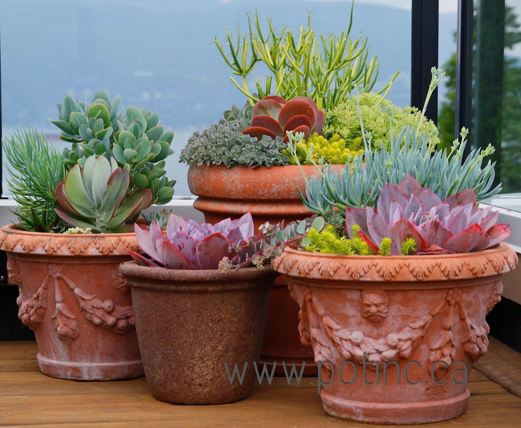 Вопрос: Сад, интерьер и зимний сад — как их связать воедино