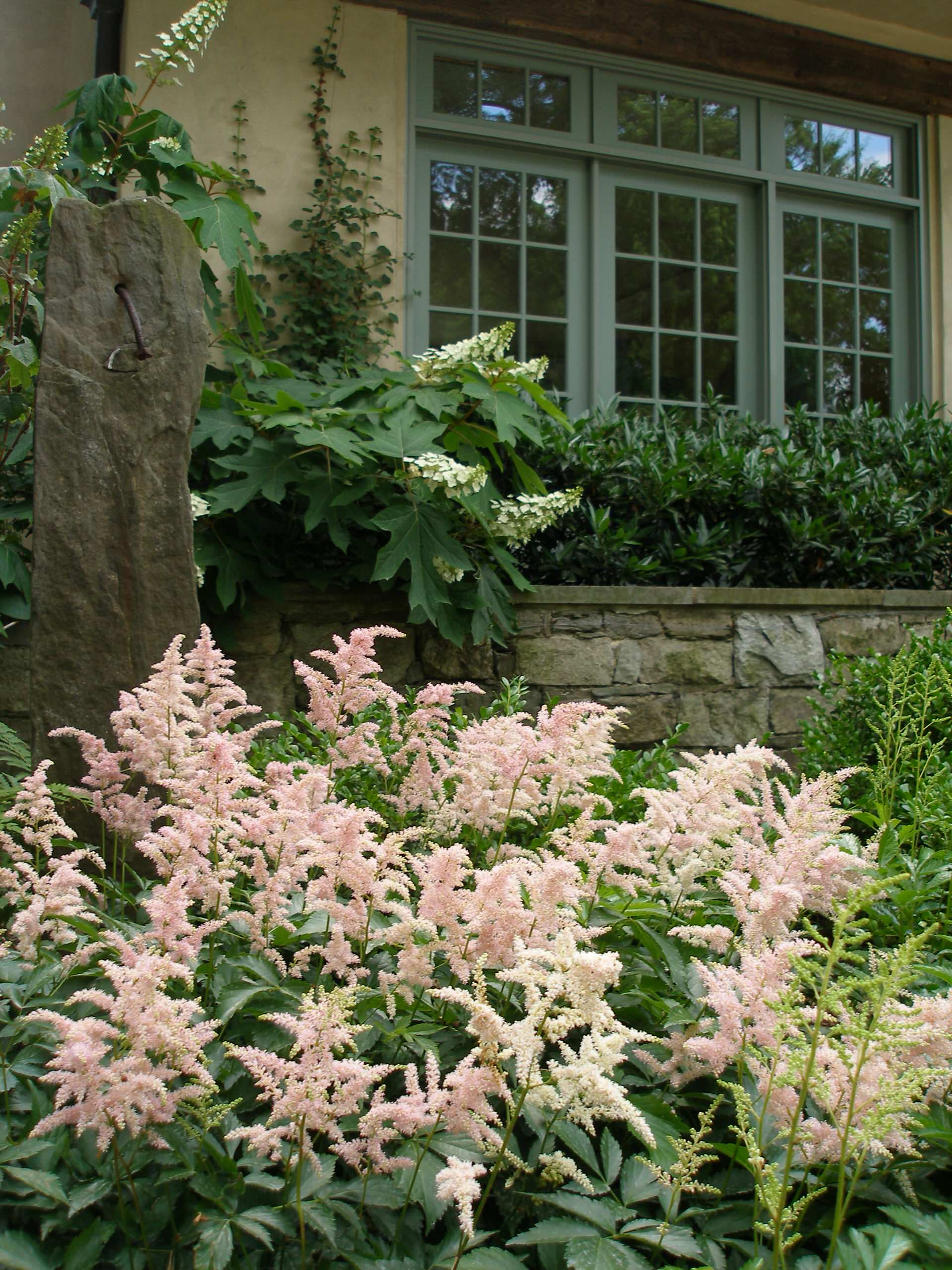 В закладки: Топ-10 цветущих растений для сада в тени