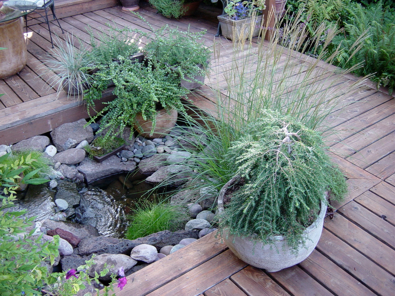 Фотоохота: 69 идей, как оформить пруд на даче