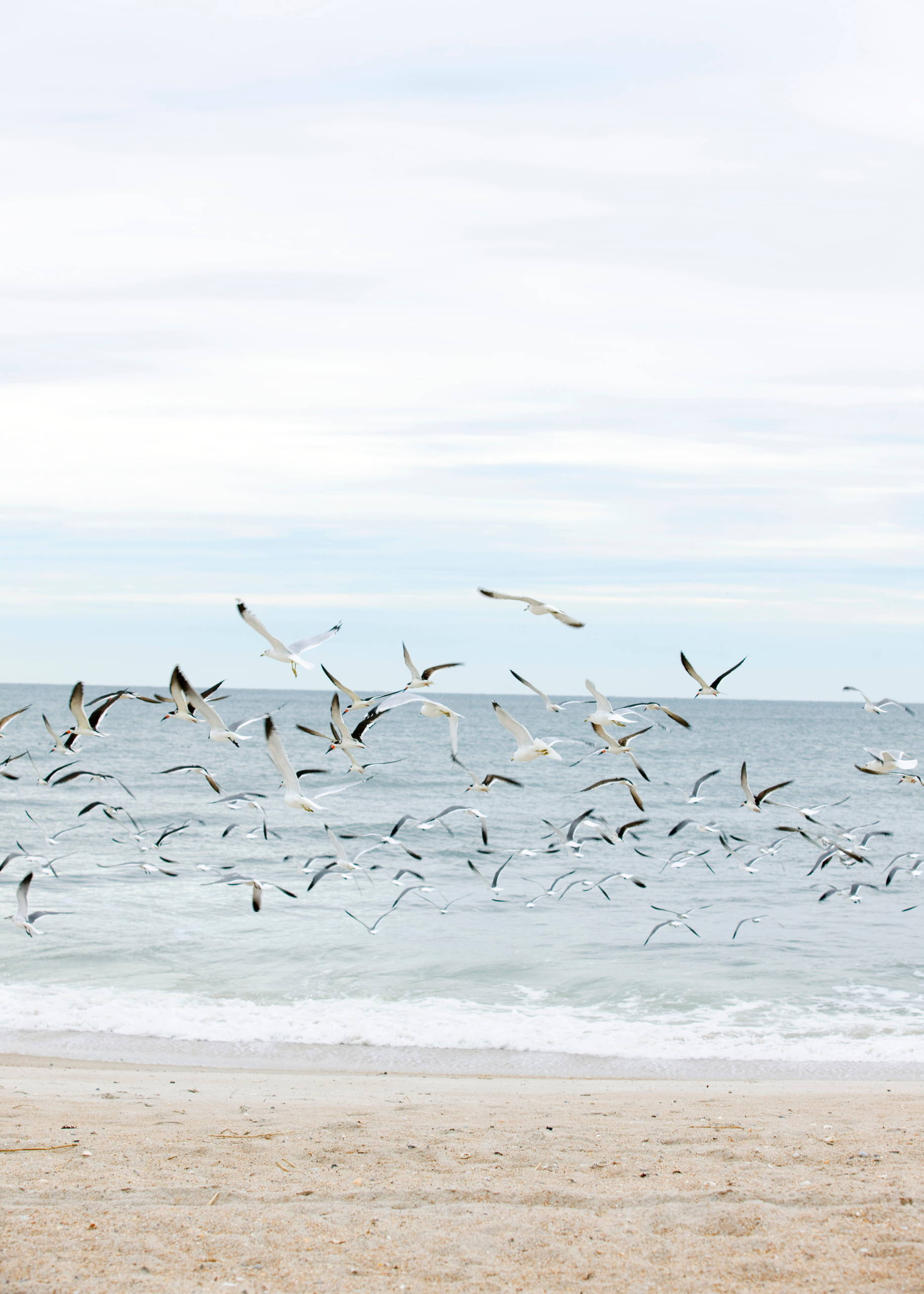 Смартфон в помощь: Как красиво фотографировать на телефон