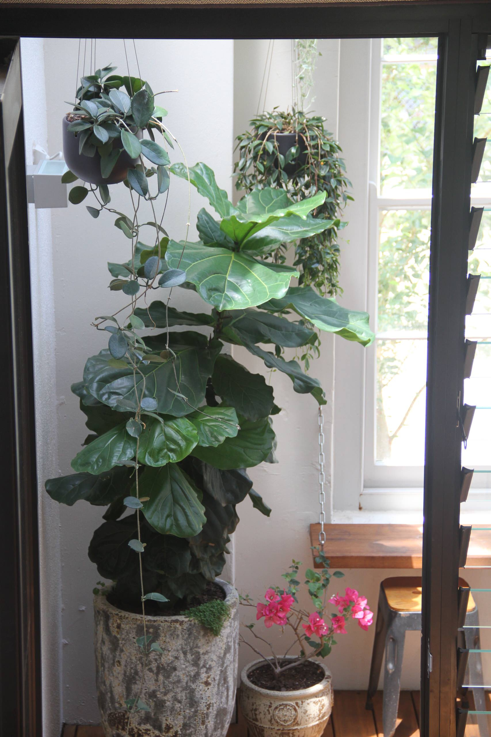 Зимний сад: Как понять, какой тип подходит именно вам