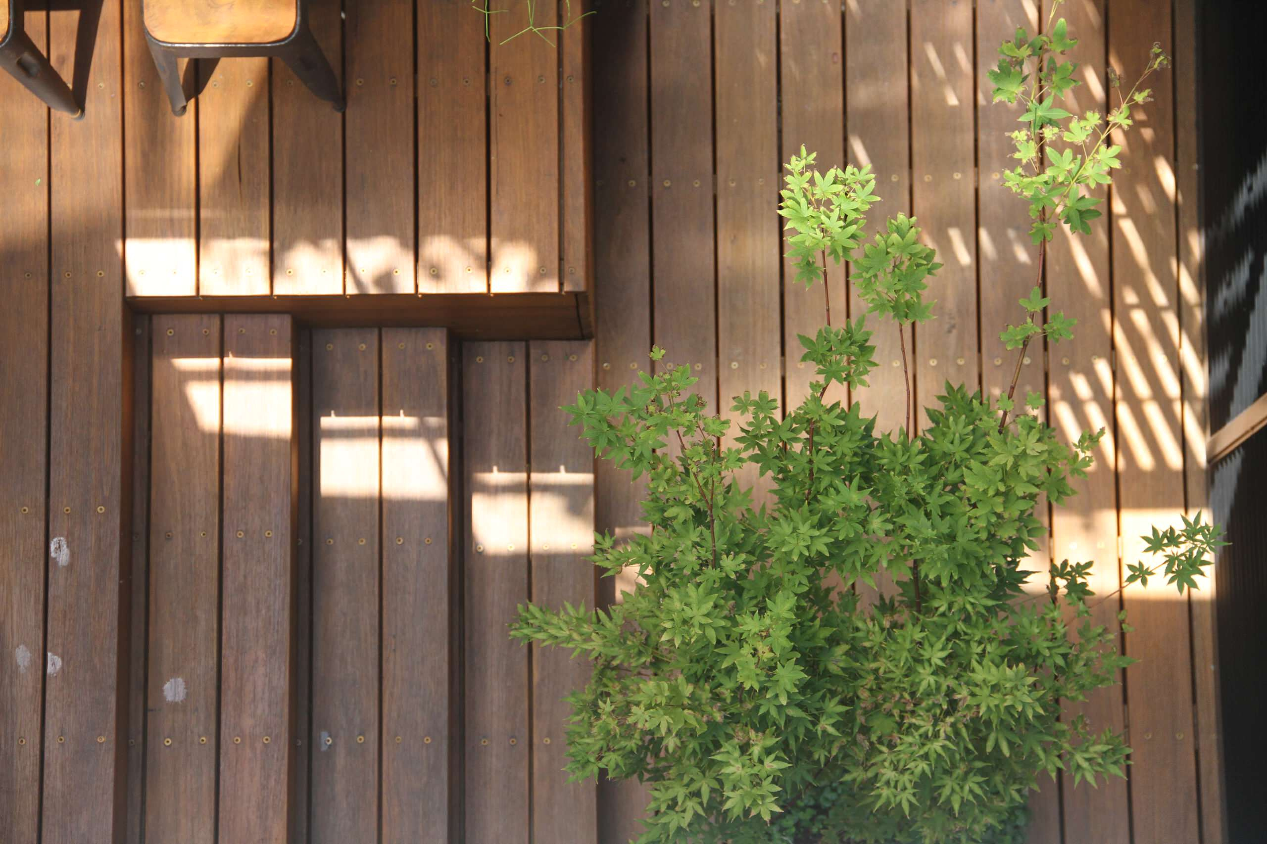 Вопрос: Сад, интерьер и зимний сад — как их связать воедино