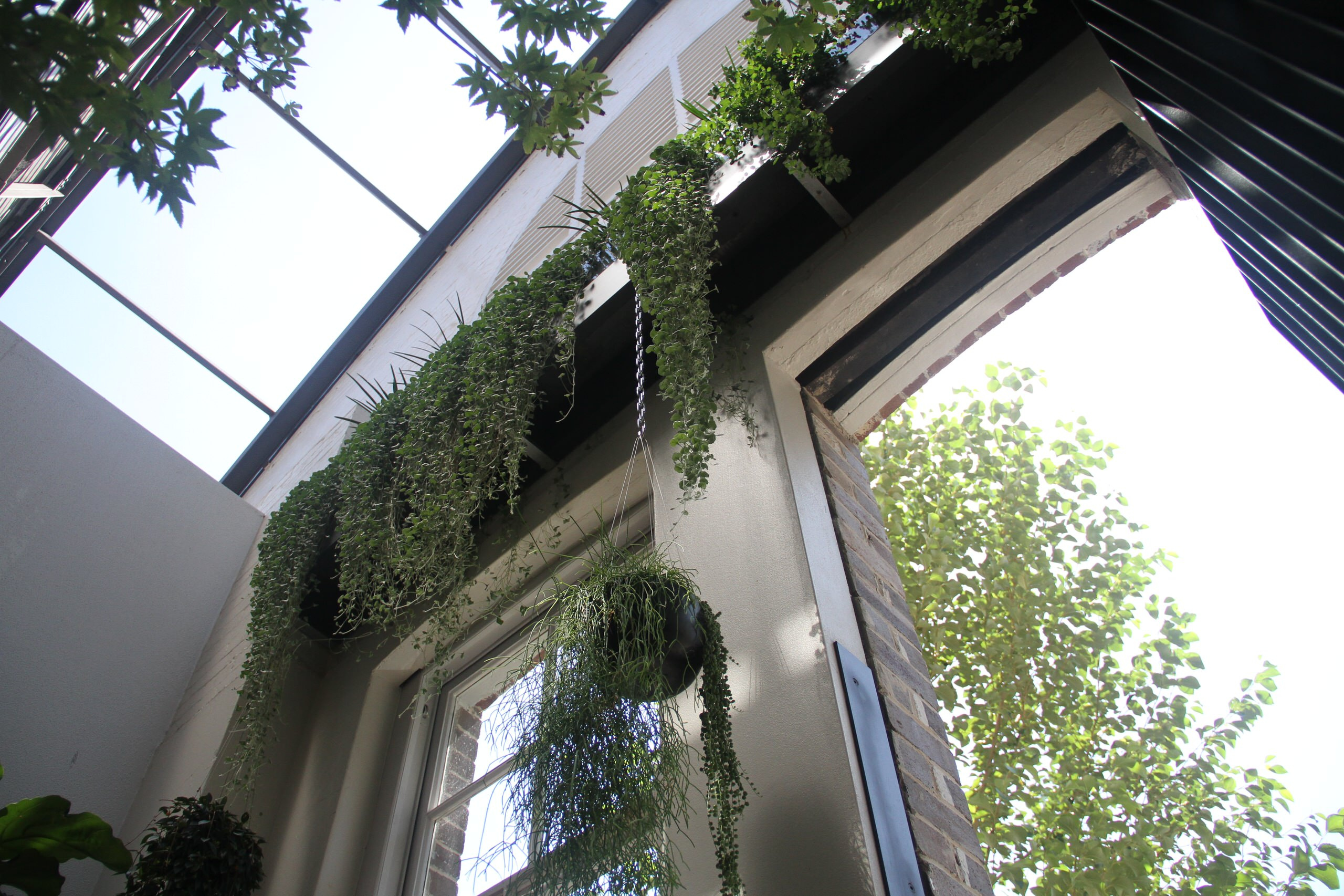 Зимний сад: Как понять, какой тип подходит именно вам