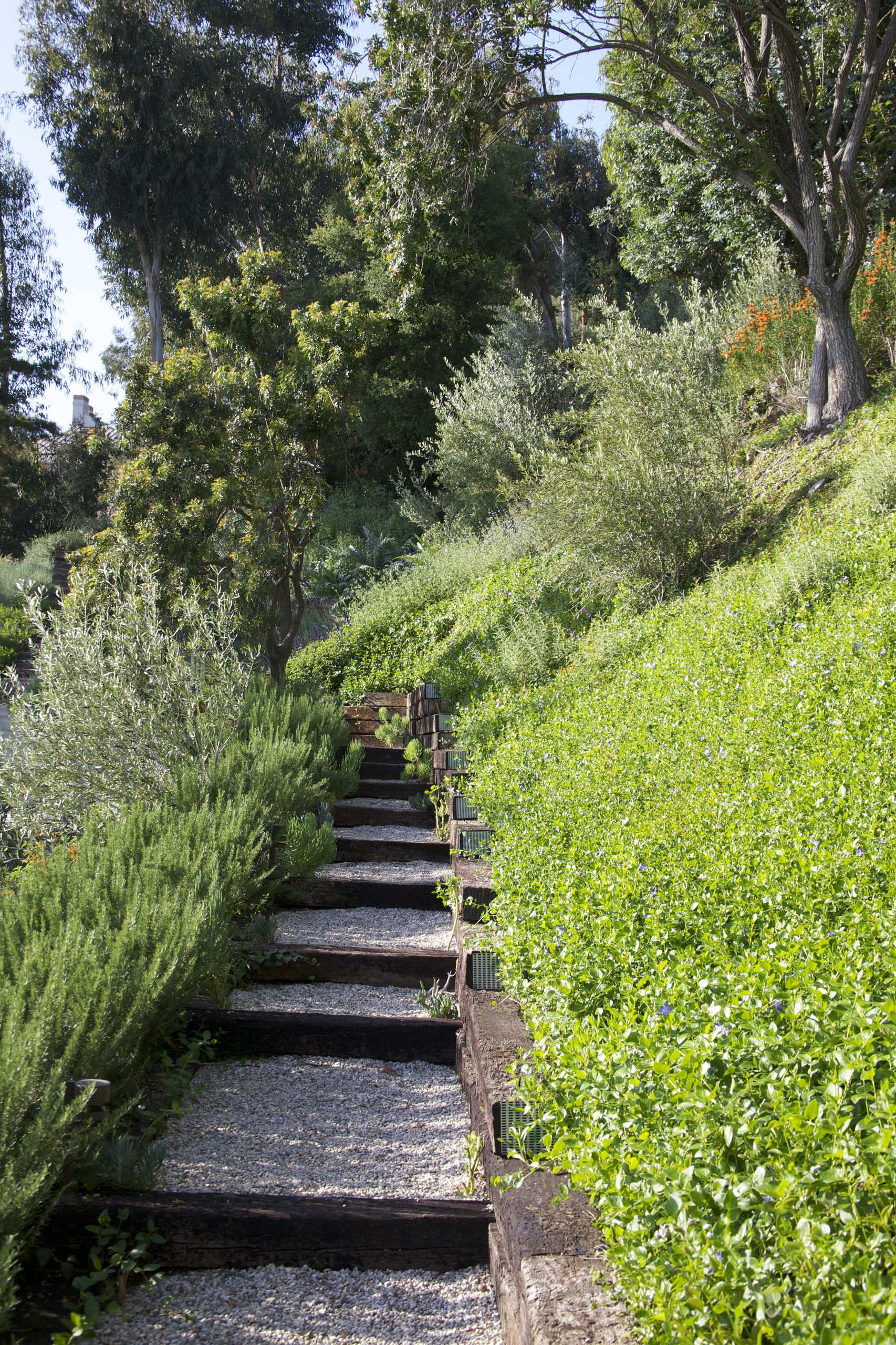 Как правильно: Вырастить «живые ступени»